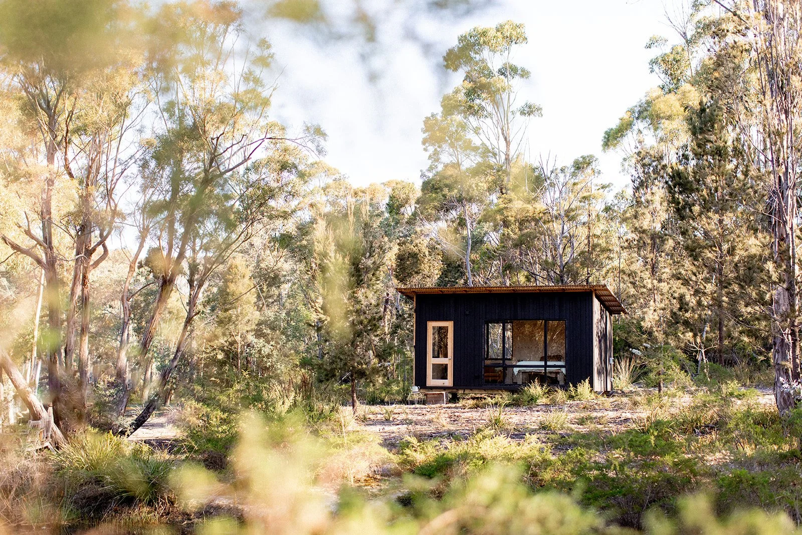 Small black cabin with large windows in a wooded outdoor area, surrounded by trees and natural plants.