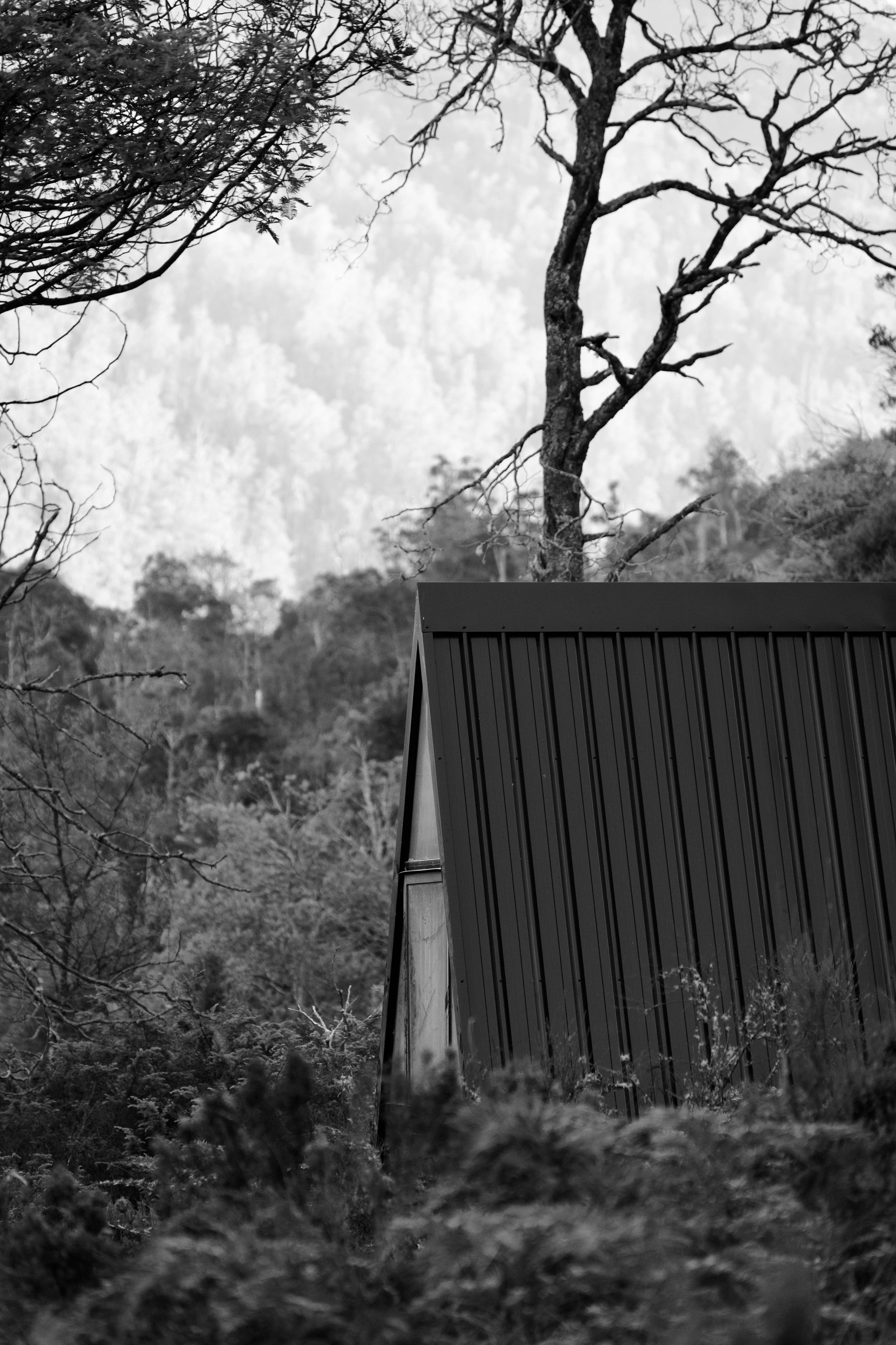 Black and white photo of a metal-roofed building with trees and mountains in the background.