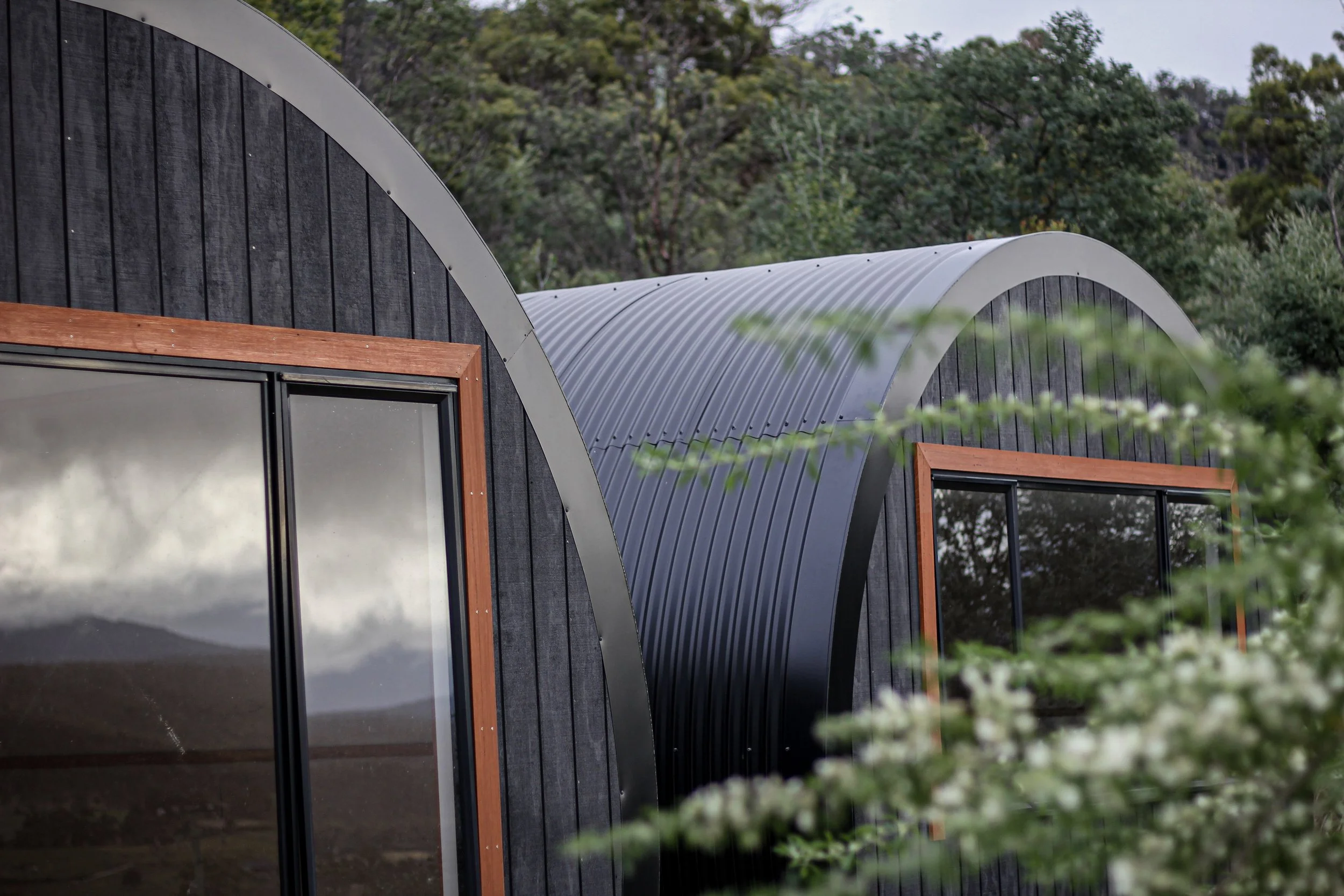Modern building with curved metal and wooden frame, surrounded by trees.