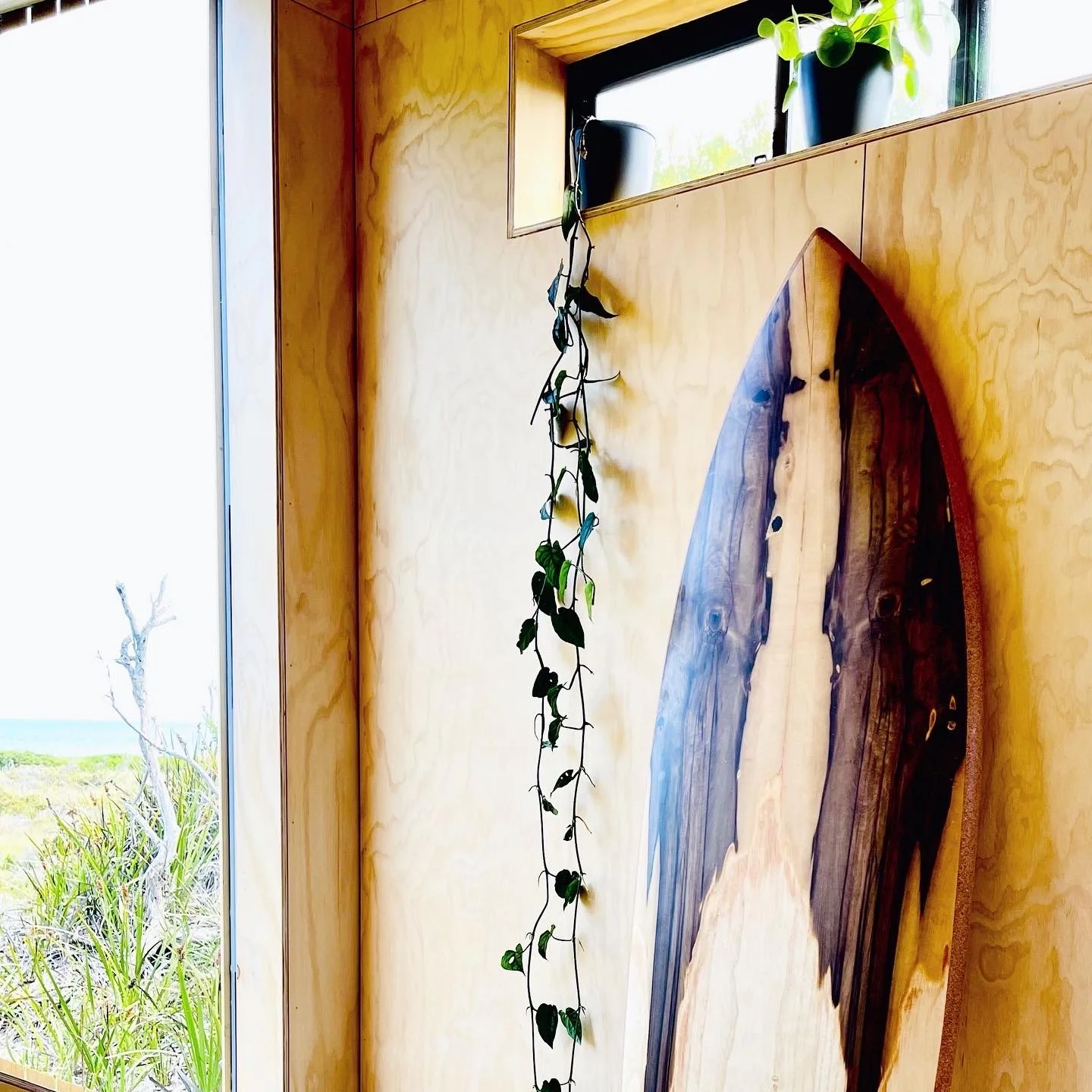 Interior view showing a wooden wall with a window, two black plant pots with green plants on the window sill, a trailing vine hanging down, and a large wooden and resin art piece mounted on the wall.