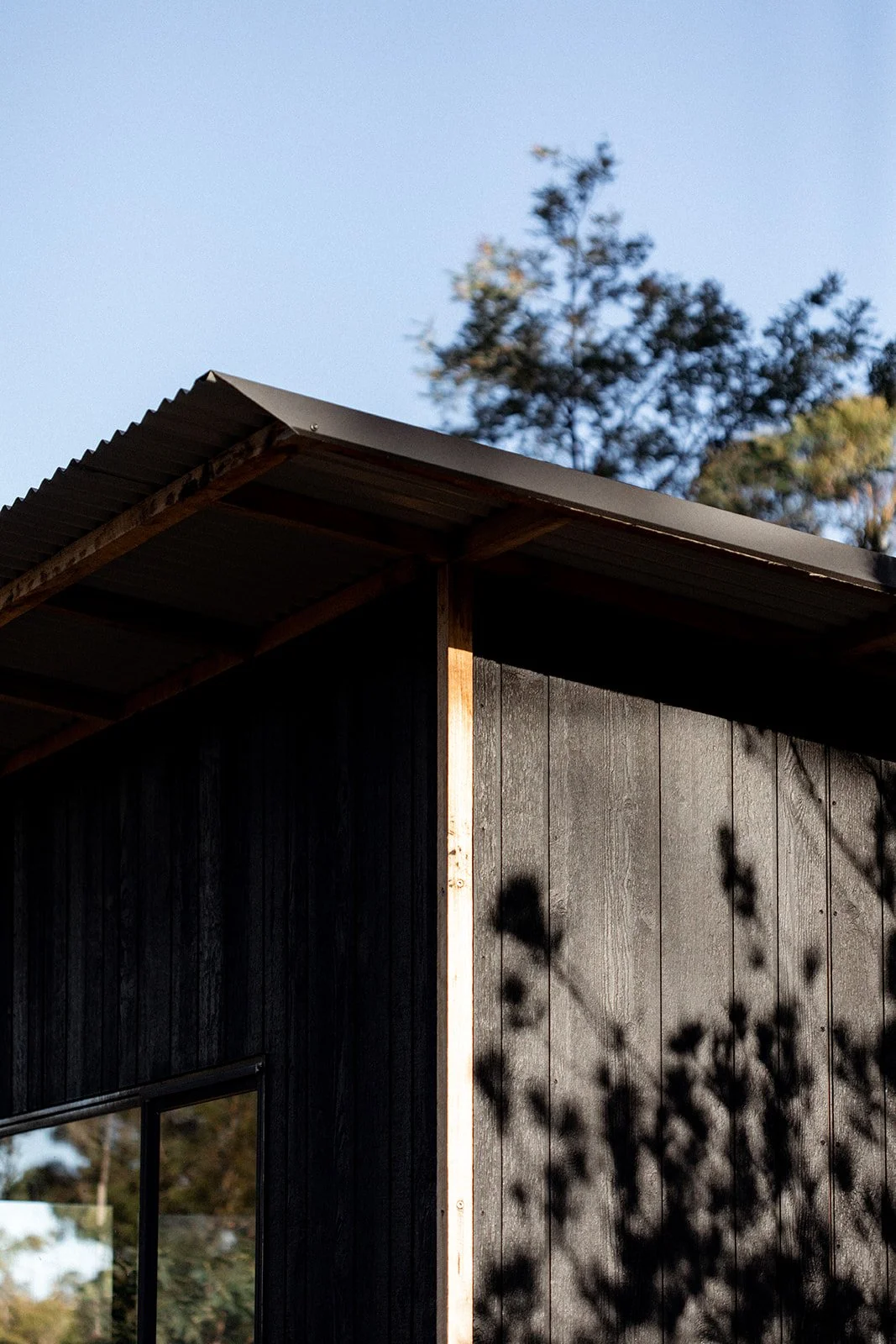 Side view of a modern building with black wooden siding, a sloped metal roof, and a window, casting shadows of nearby tree branches on the exterior wall, with trees and a clear blue sky in the background.