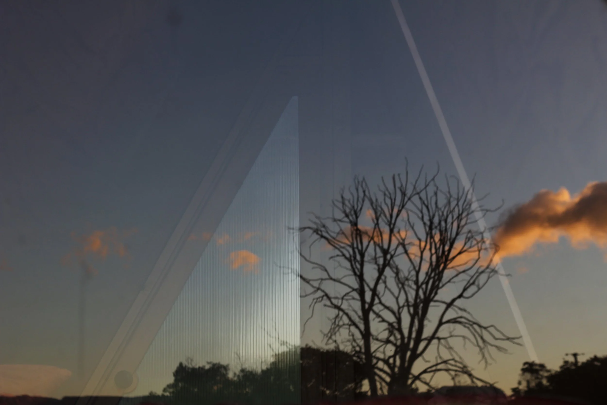 A leafless tree silhouette against a sunset or sunrise sky with clouds, seen through a window with a reflection of a smart device with a toggle switch.