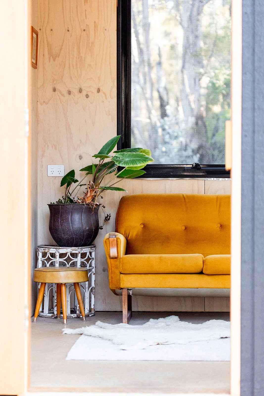 A cozy corner with a mustard yellow vintage sofa, a large potted plant with glossy green leaves on a small white table, a wooden stool, a white fluffy rug, and a big window showing a view of trees outside.