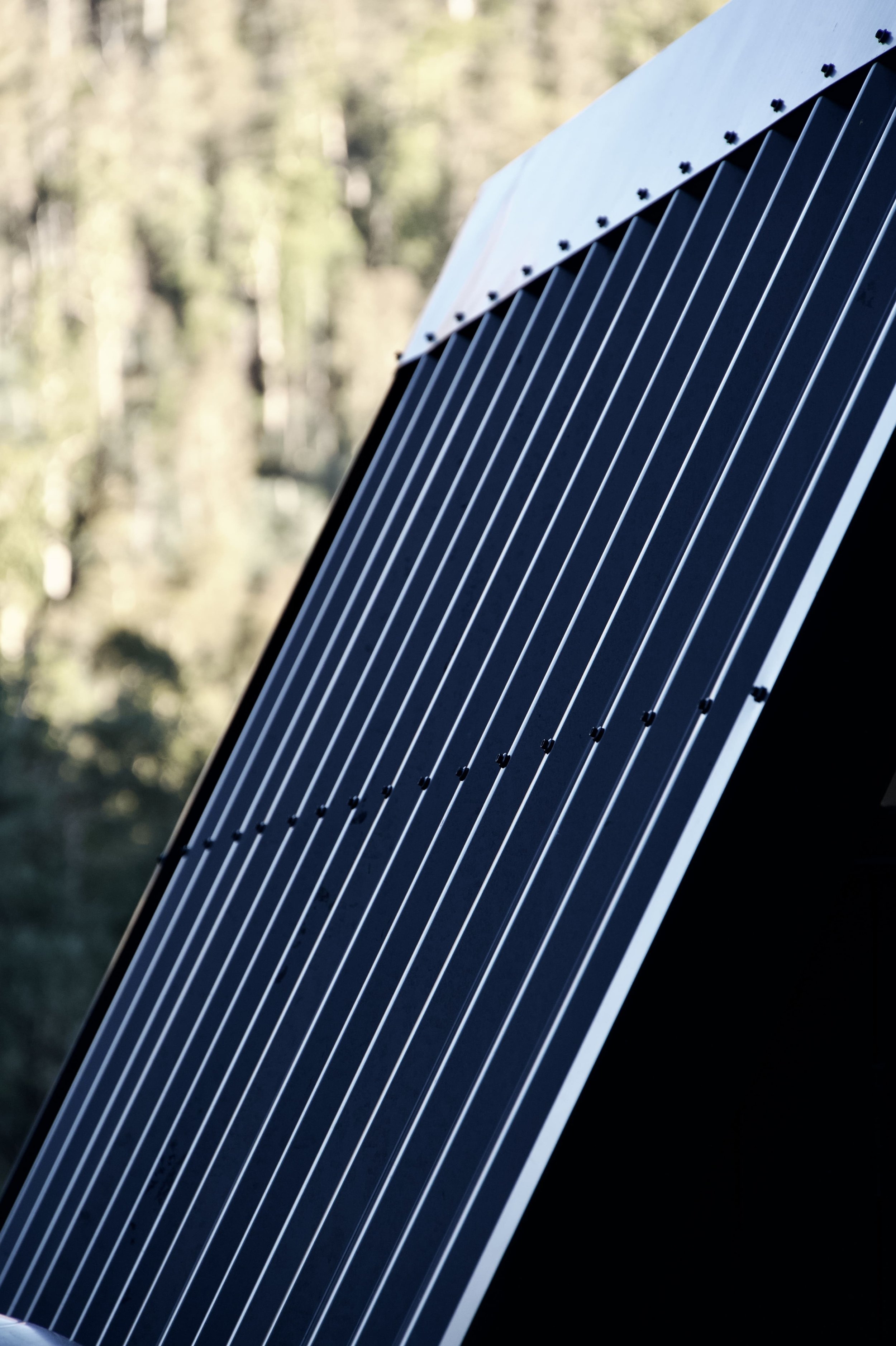Close-up of solar panels outdoors with trees in the background.