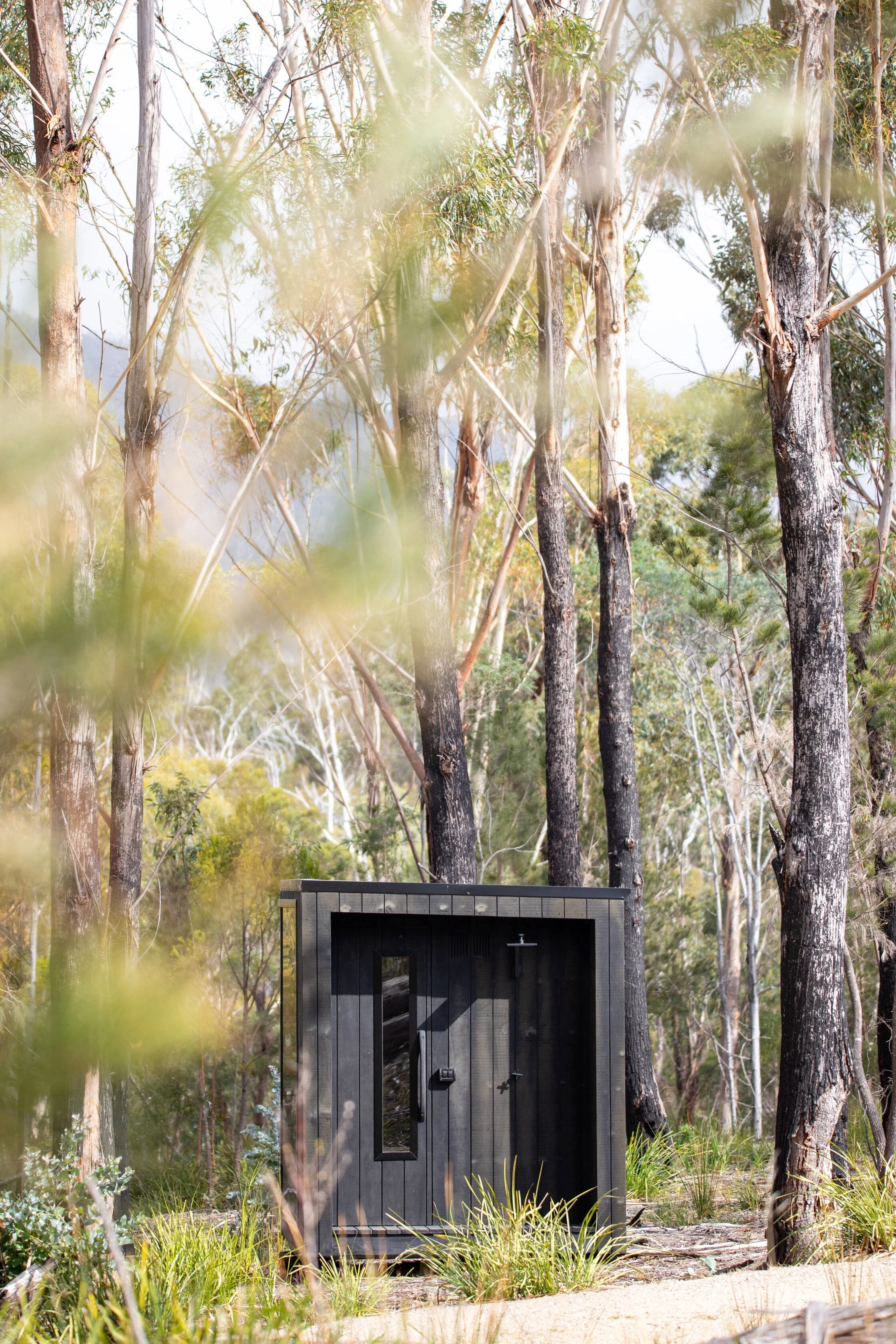 An outdoor shower on a sandy ground, surrounded by trees and greenery in a forest setting.