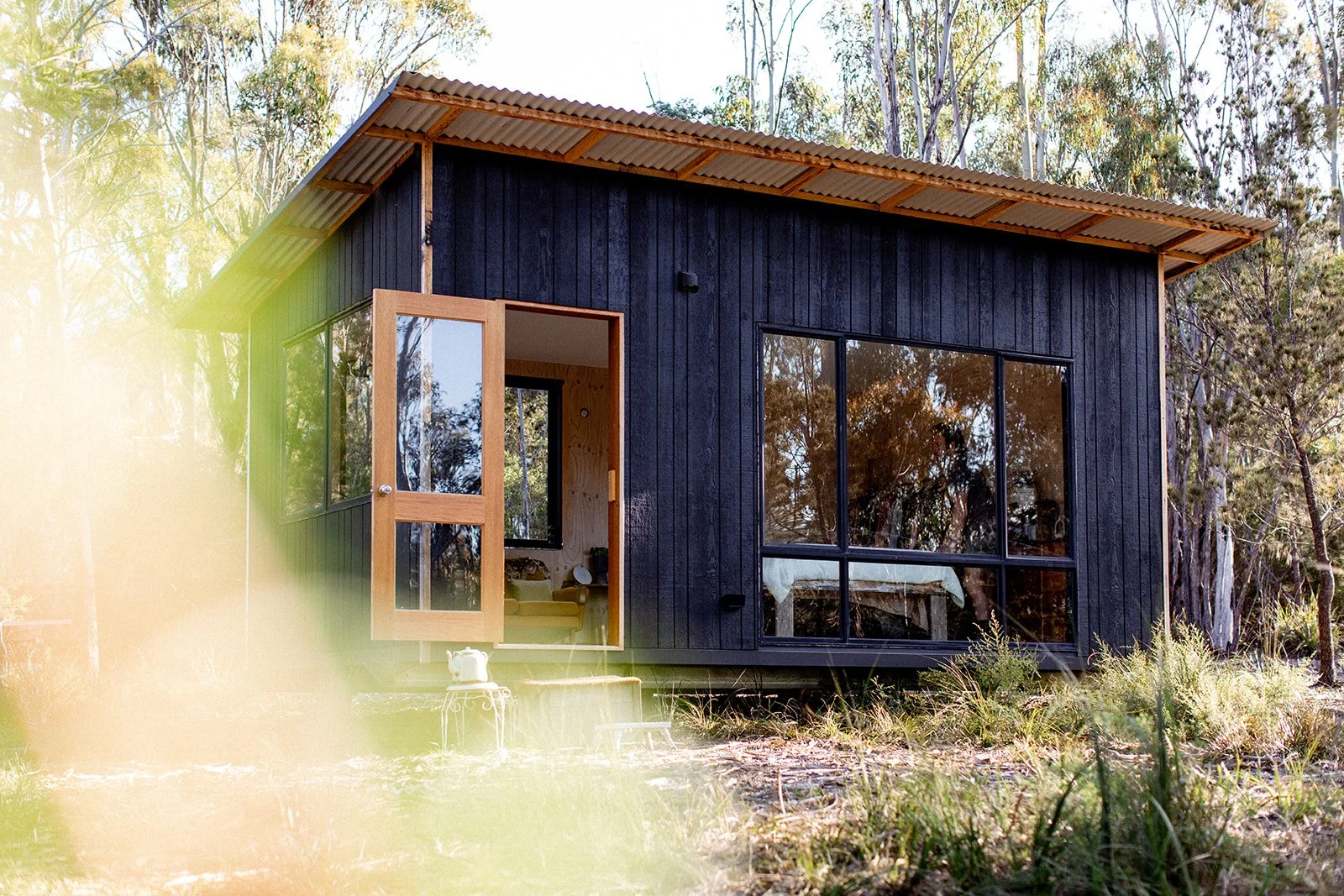 Small modern house in a forest with large glass windows and an open wooden door, surrounded by trees and vegetation.