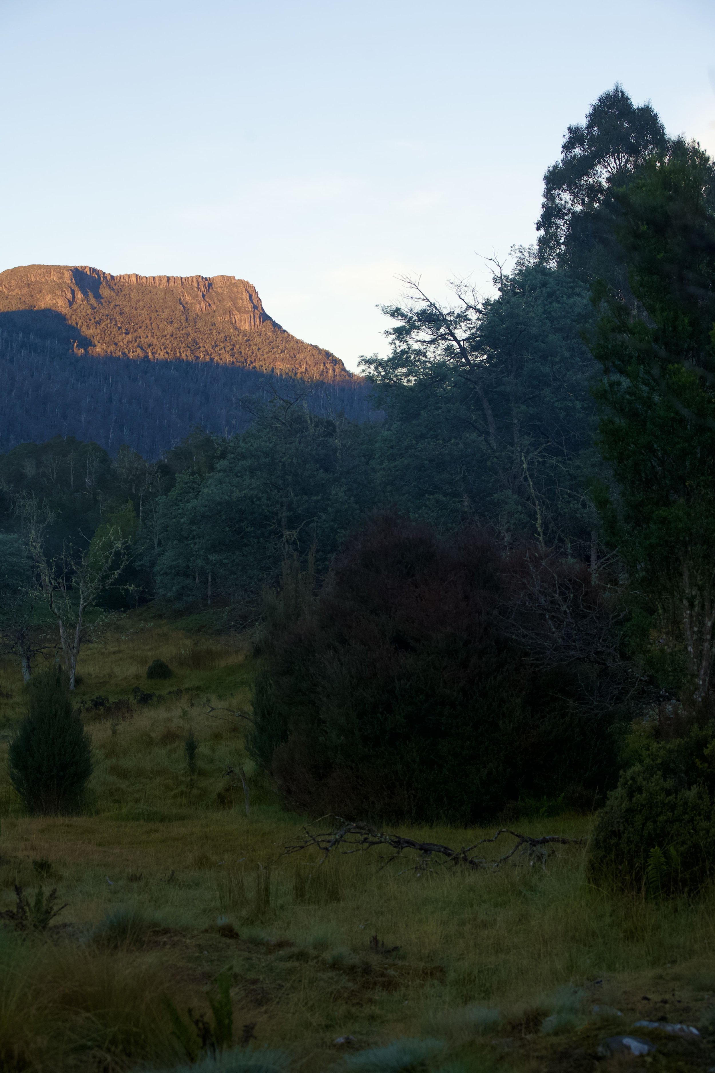 A scenic landscape showing a lush green forest with a mountain in the background, partially illuminated by sunlight.