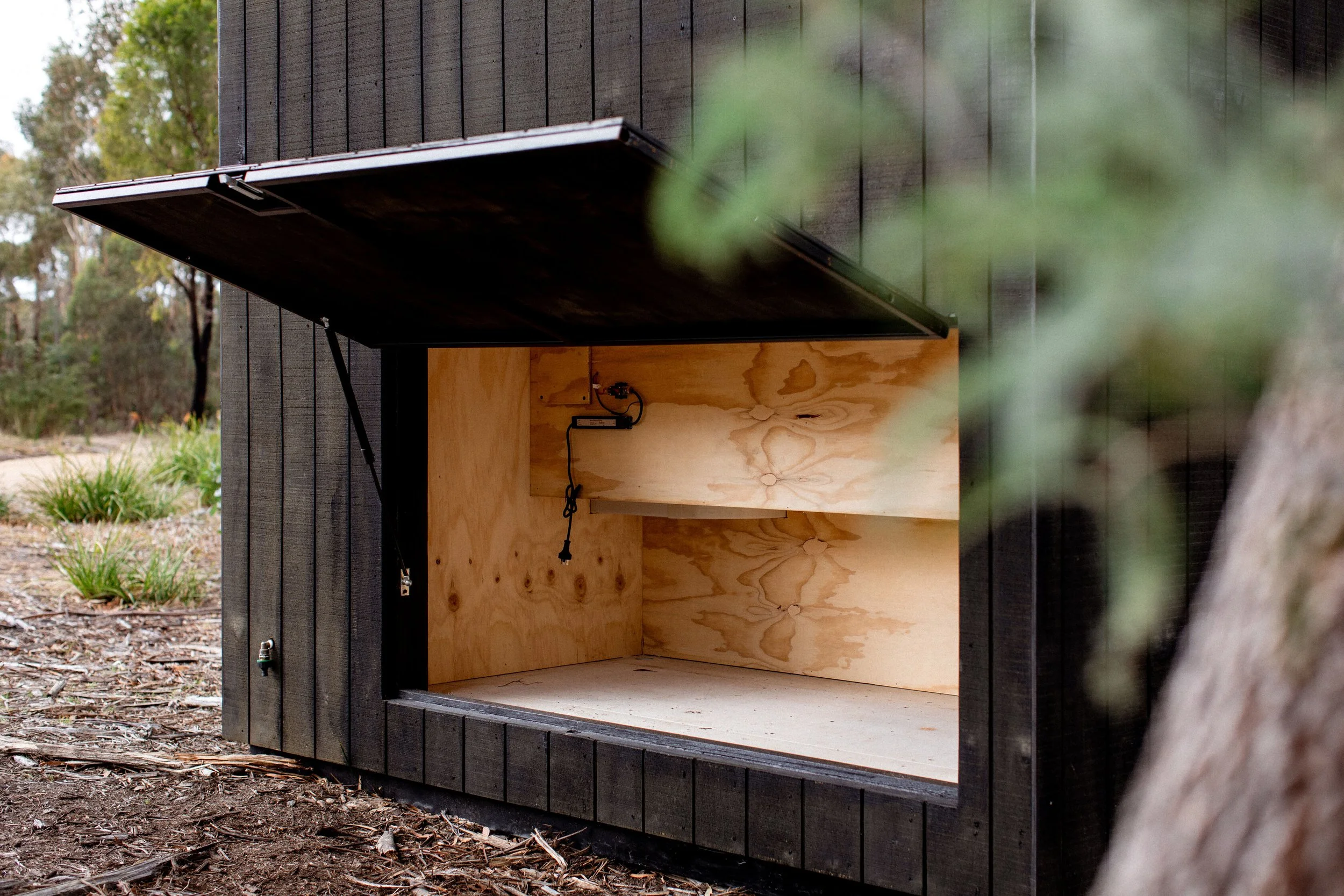 A small black outdoor structure with a hinged lid, revealing a plywood interior with an electrical outlet and a hanging cord, situated on natural ground with grass and trees in the background.