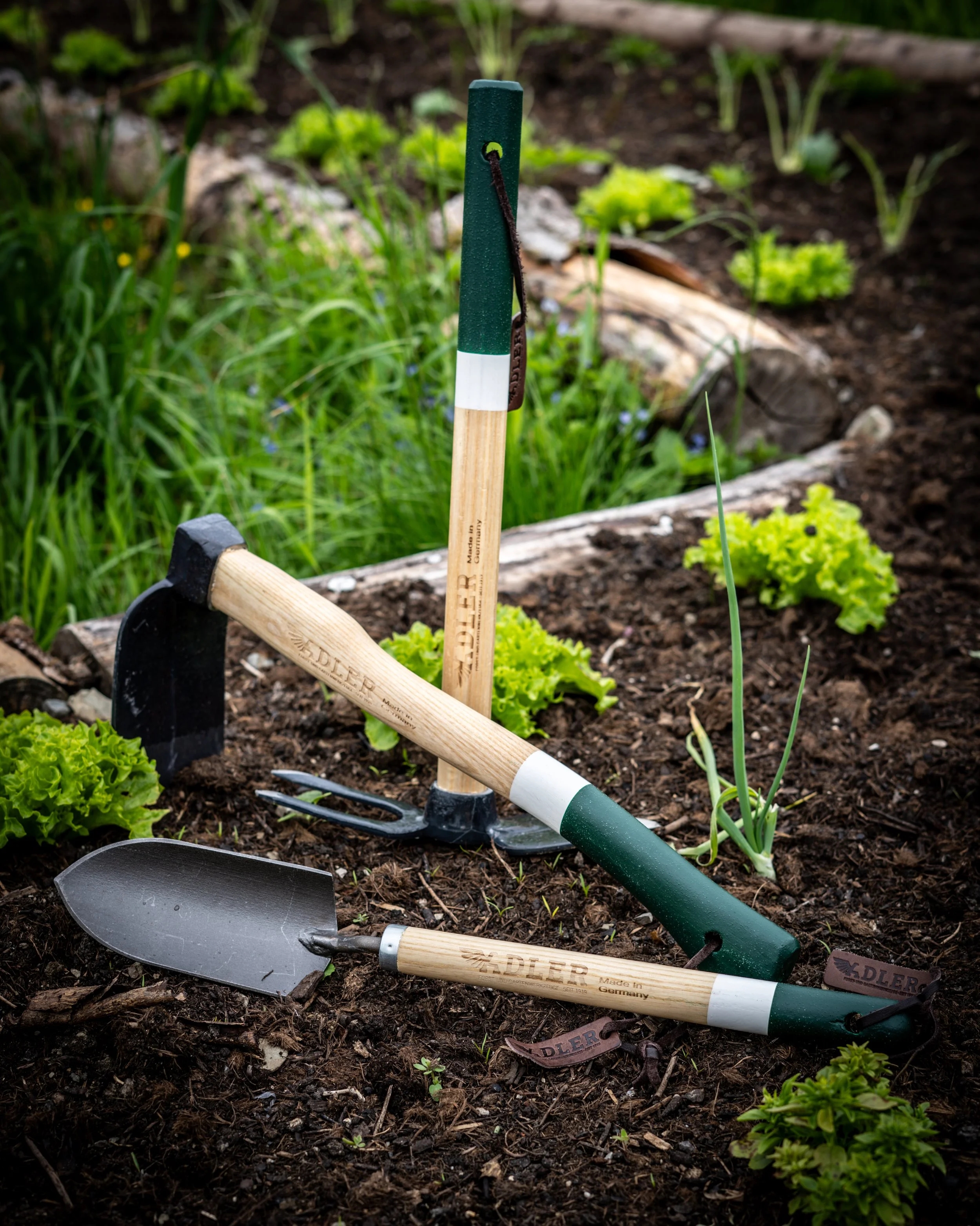 Garden tools, a trowel and a small rake, lie on dark soil surrounded by young green lettuce plants, with additional gardening tools and plants in the background.