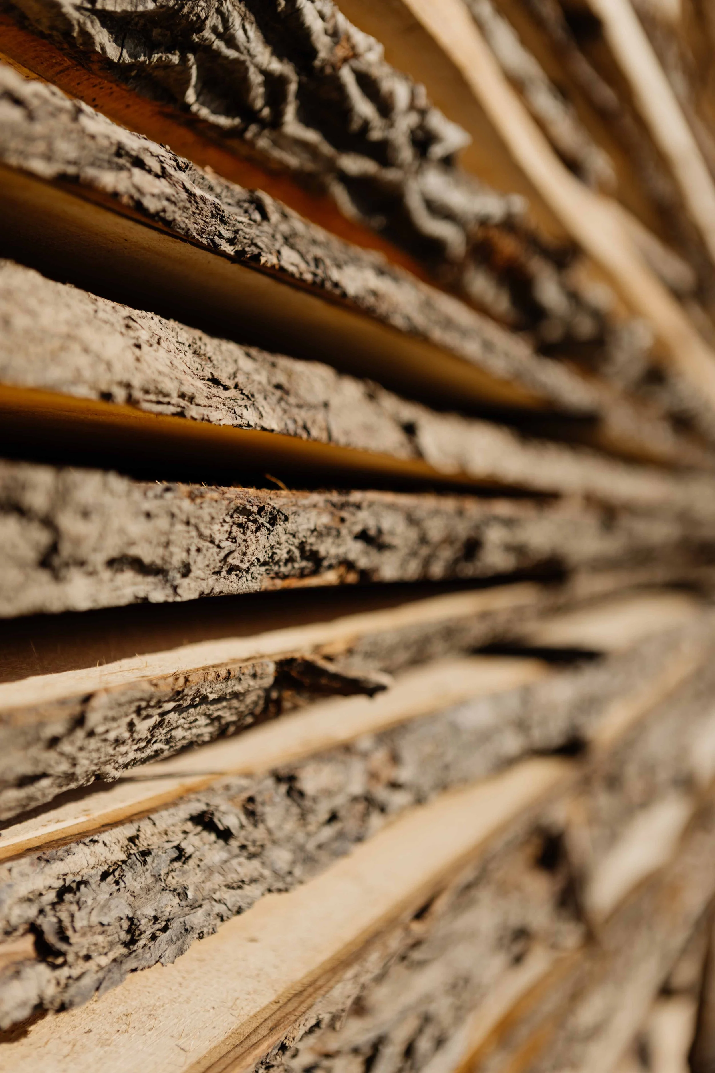 Close-up of stacked firewood showing rough bark and smooth cut surfaces.
