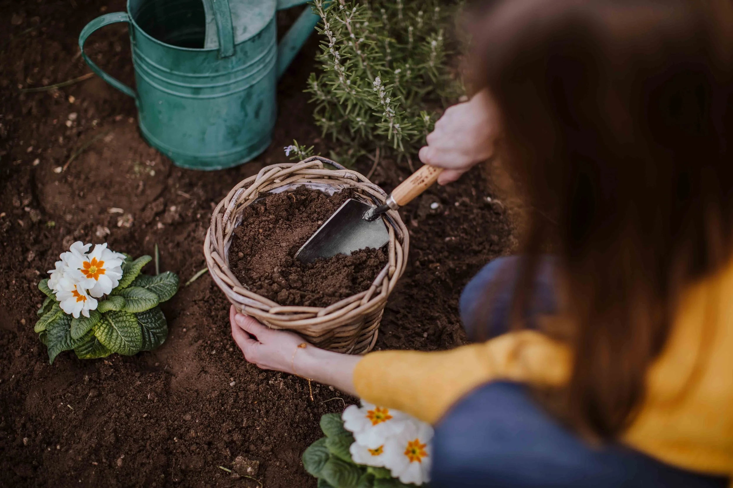 Person planting flowers in soil using a small gardening trowel, with a green watering can nearby.