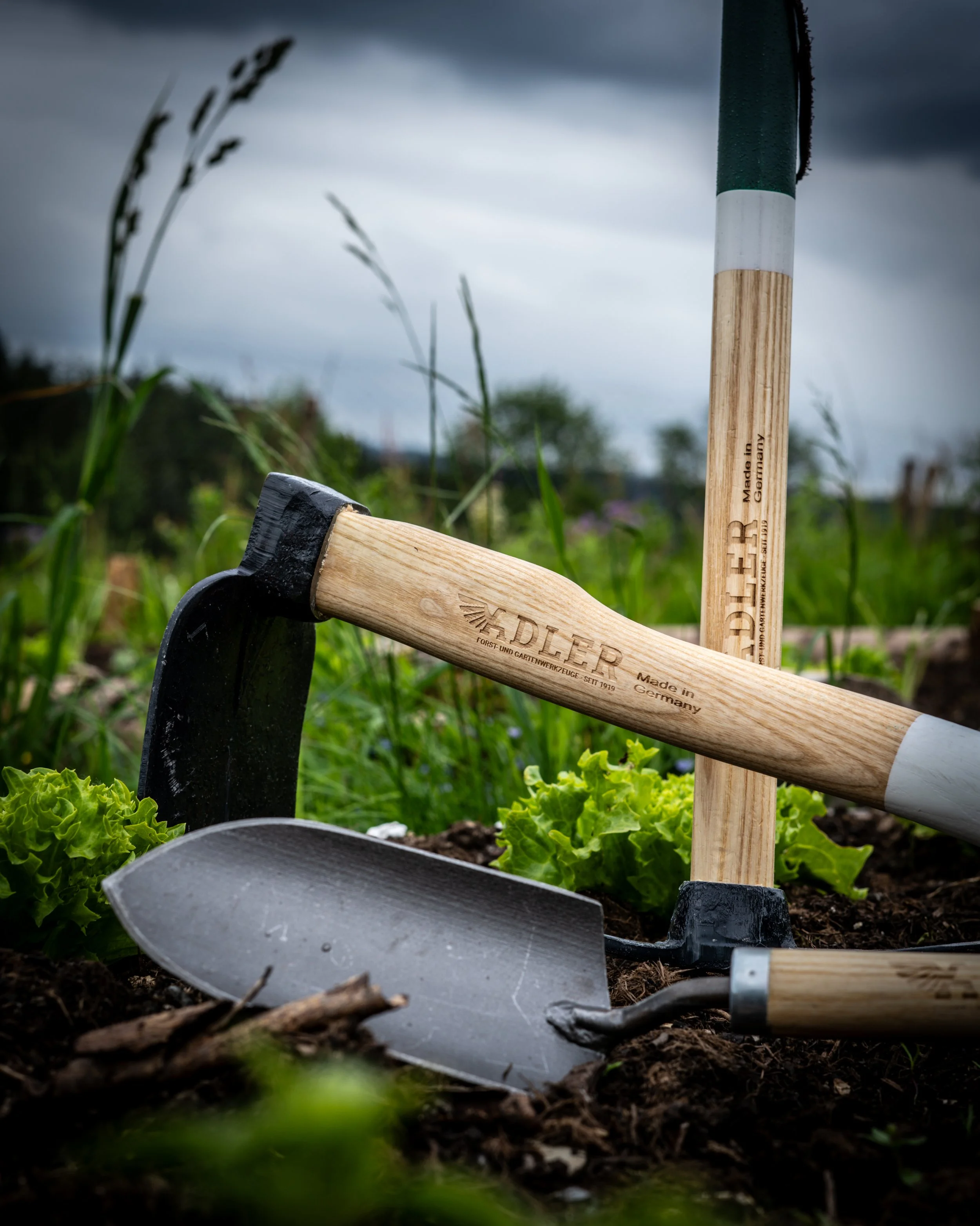 Gardening tools including a trowel and a small axe resting on the soil with young lettuce plants, in an outdoor garden setting under a cloudy sky.