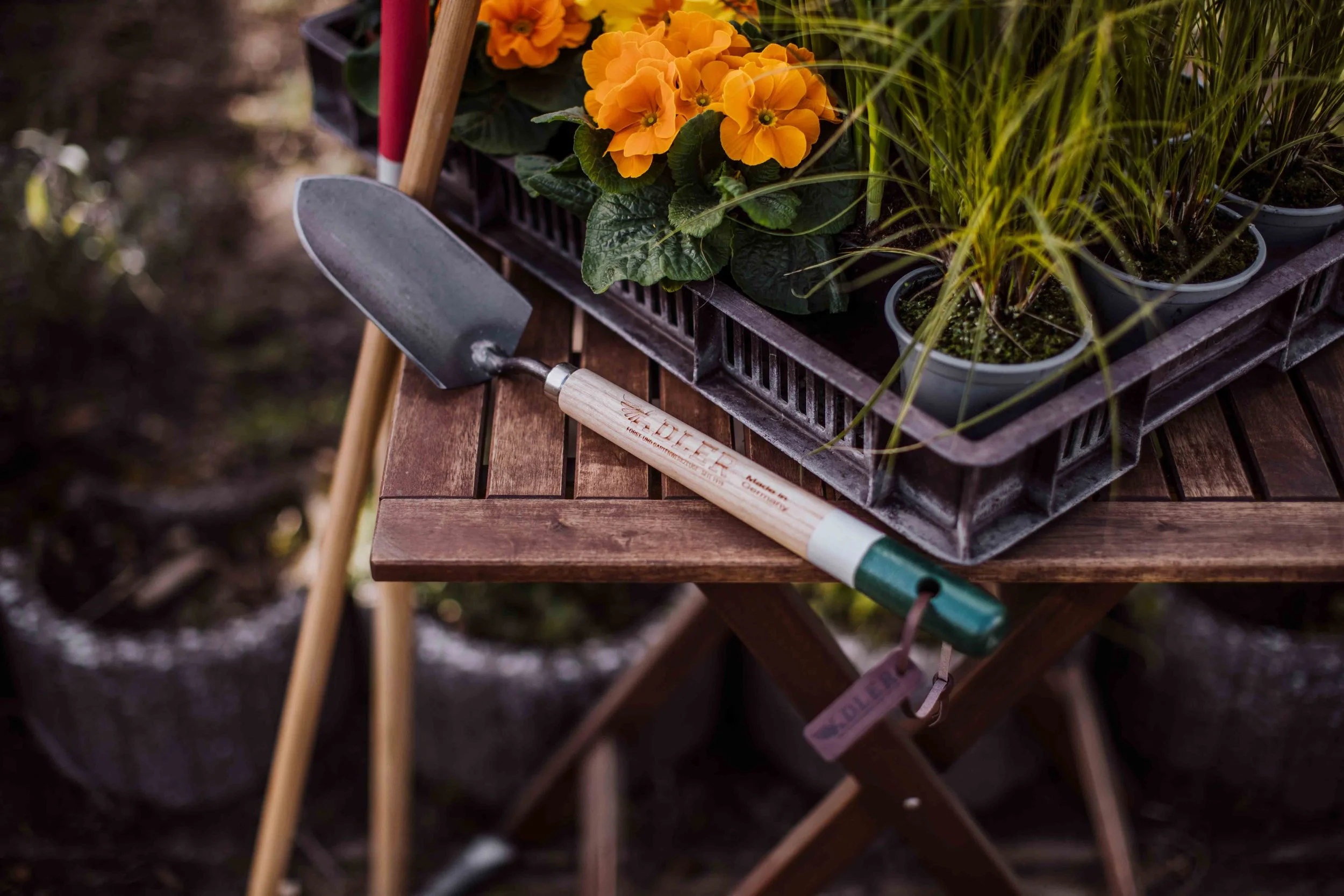 Gardening tools and potted plants on a wooden table, including a trowel and vibrant flowers.