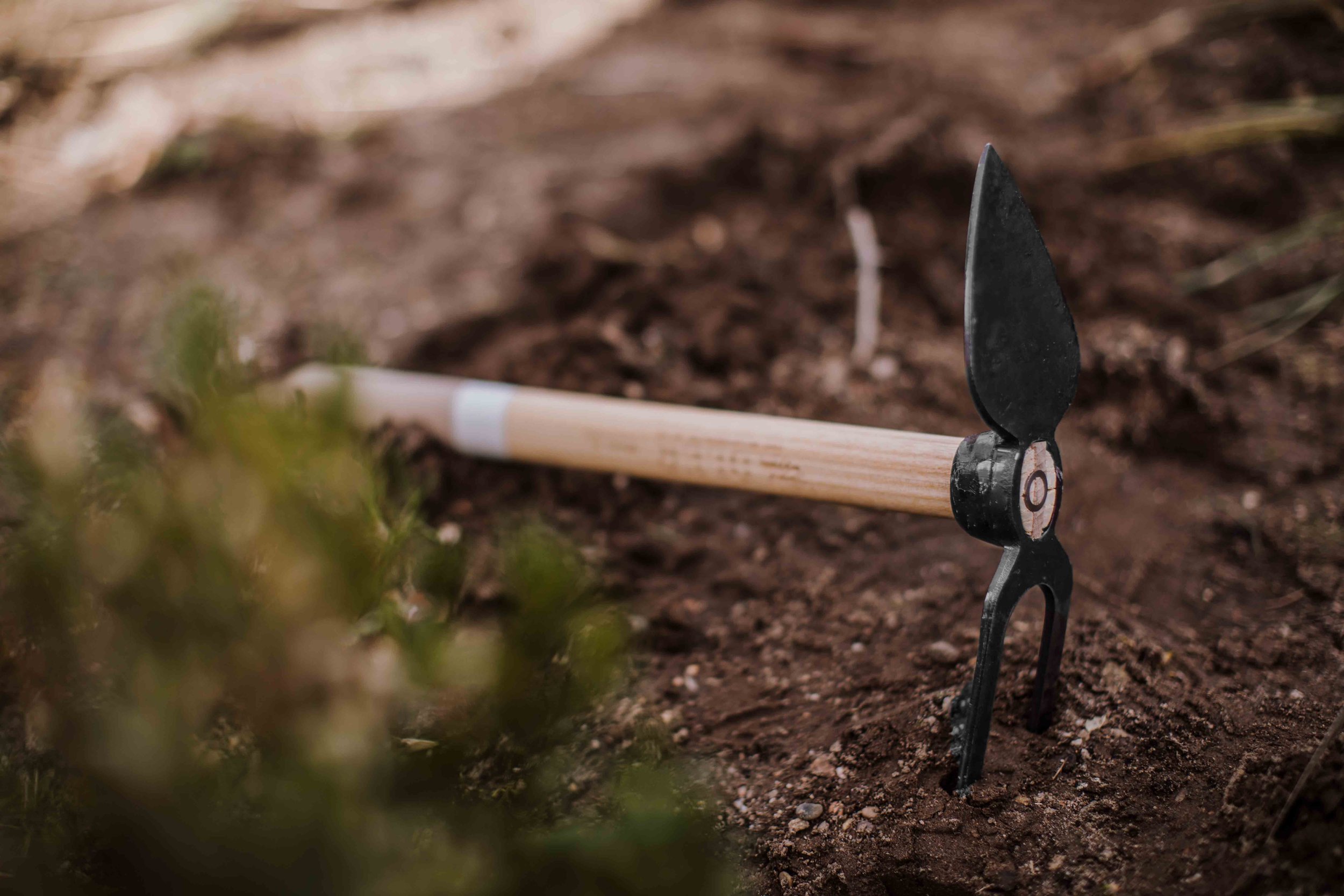 A gardening trowel with a wooden handle and black metal blade in soil, sticking upright.