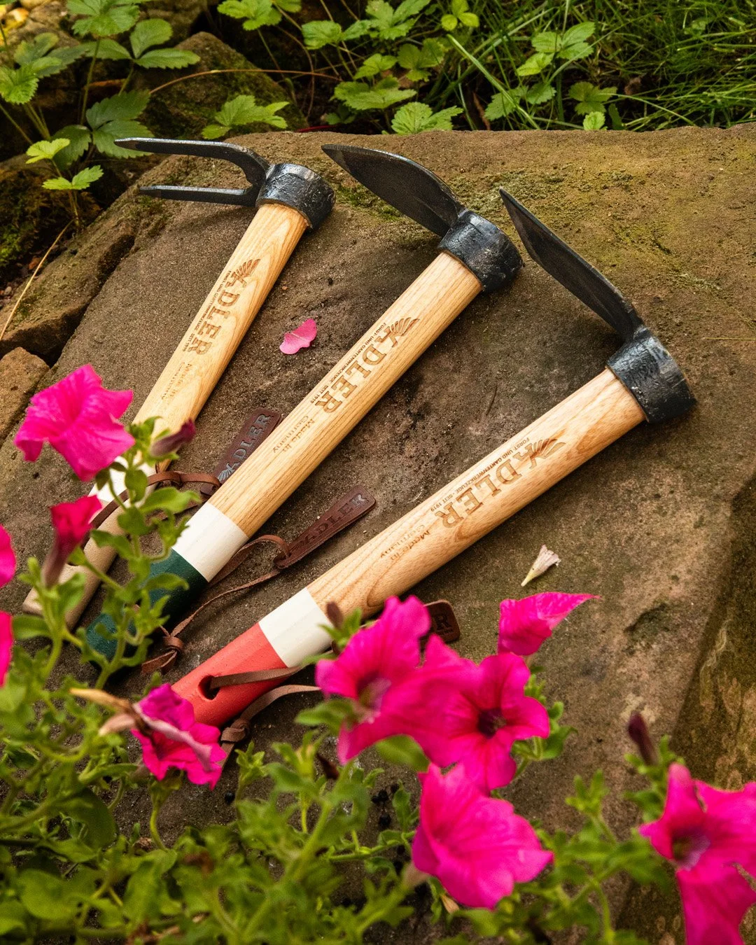 Three gardening tools with wooden handles and black metal heads, lying on a rock surrounded by pink petunia flowers and green foliage.