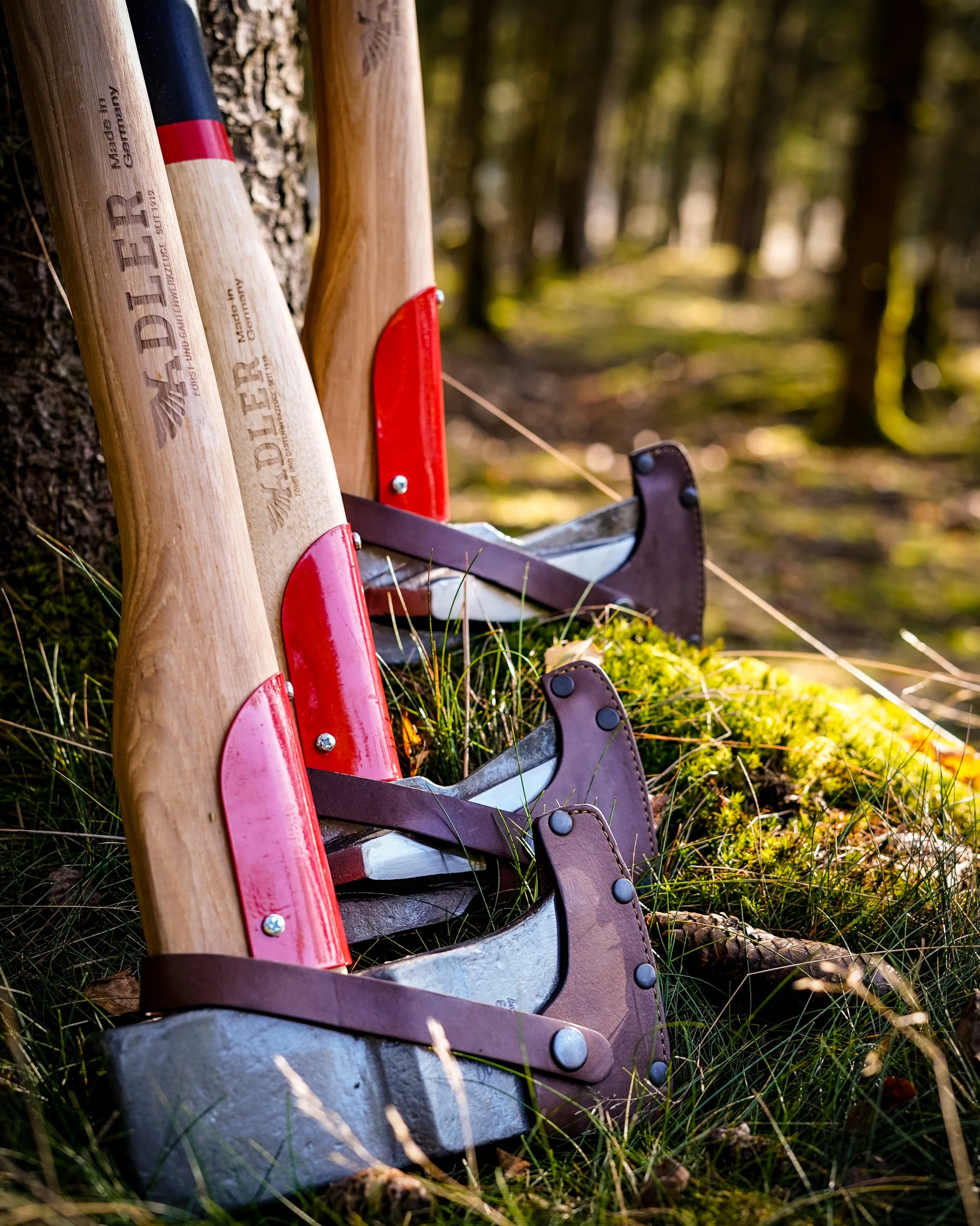 Two axes with wooden handles and metal blades resting against a tree in a forest, secured with leather straps.