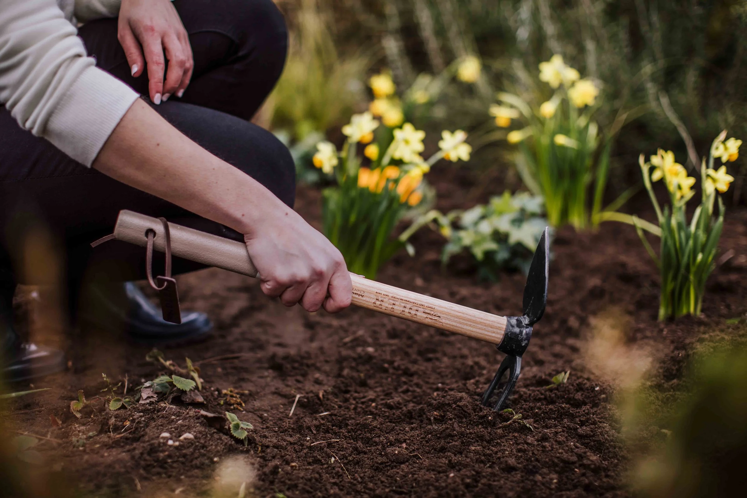 Person planting flowers in a garden bed using a hand trowel, with blooming yellow and white flowers in the background.