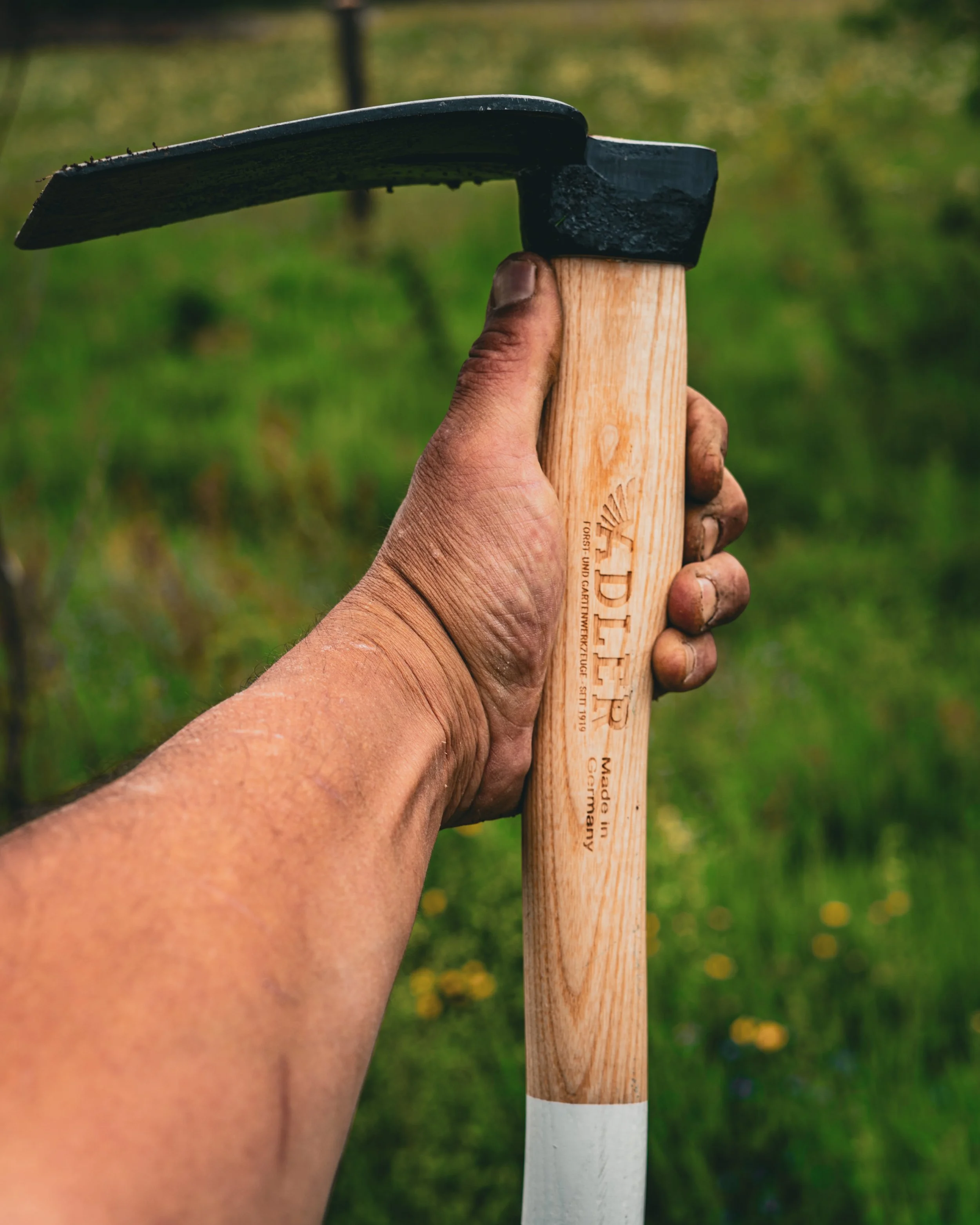 Close-up of a person's hand holding a hammer with a wooden handle, outdoors with green foliage in the background.