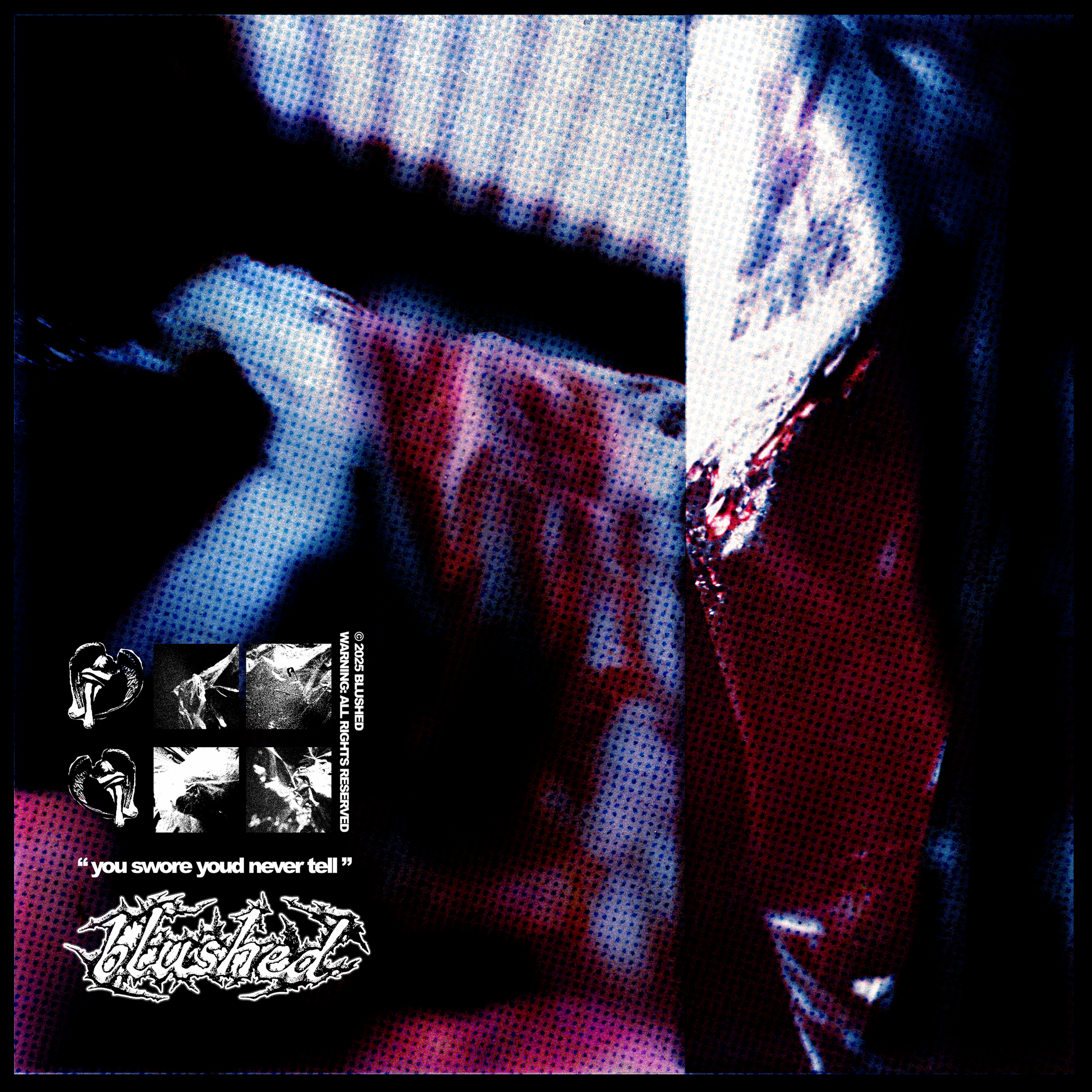 blushed cover new.png