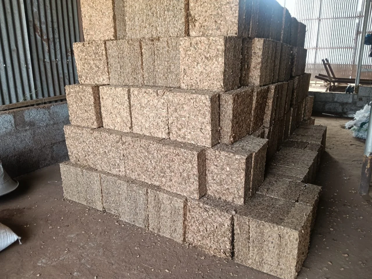 Coco Chips (High & Low EC)