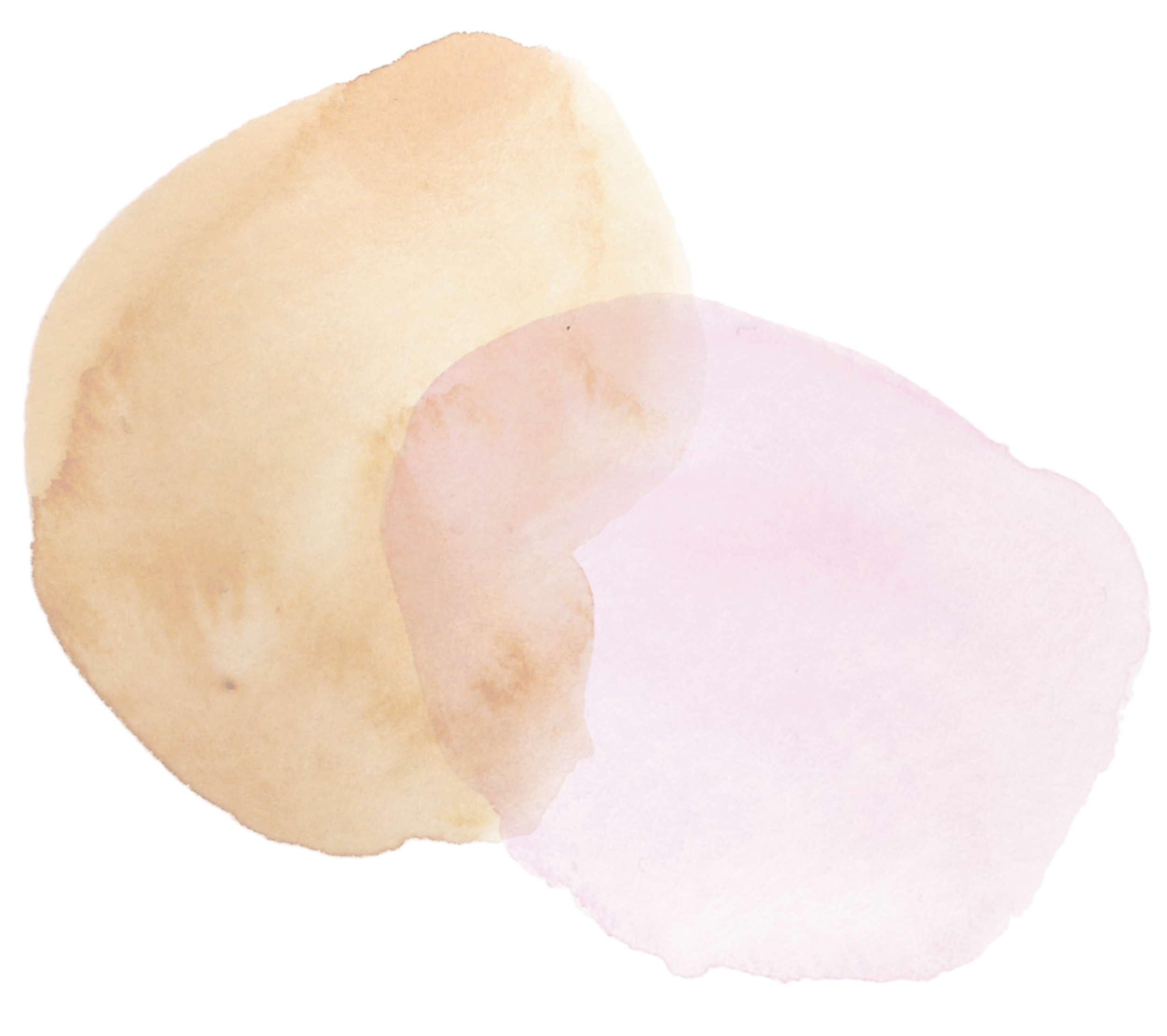 counselling grounded in Te Tiriti counsellor for anxiety in Nelson