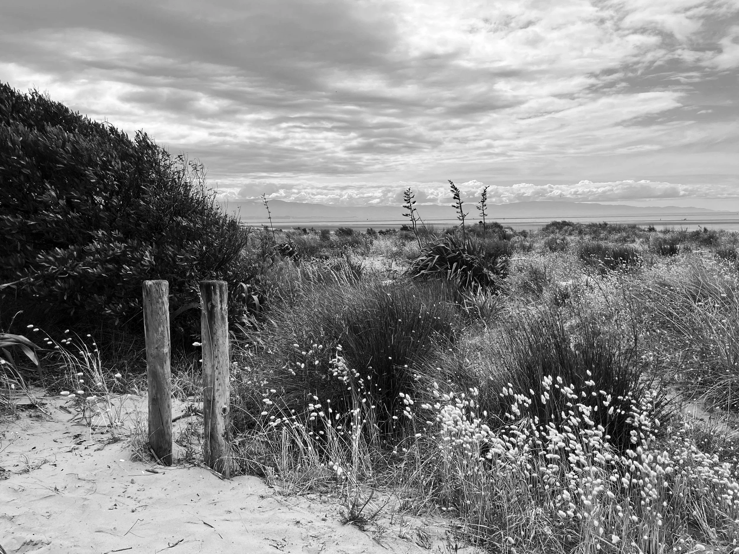 Anxiety help depression help Nelson counsellor.jpg