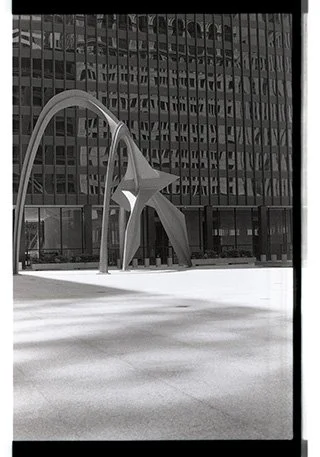 Flamingo_Calder_Chicago.jpg