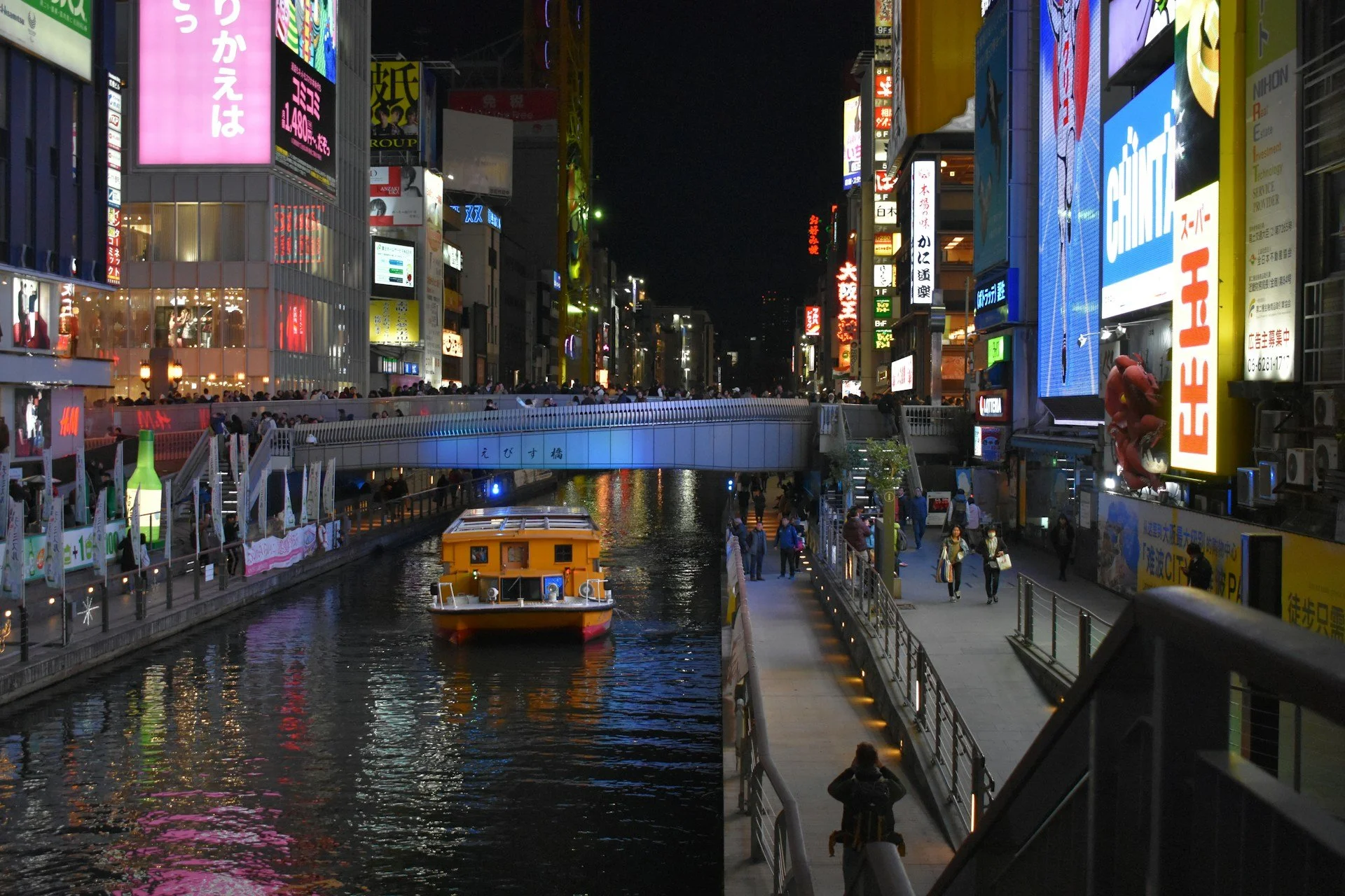private-osaka-evening-tour-dotonbori.jpg