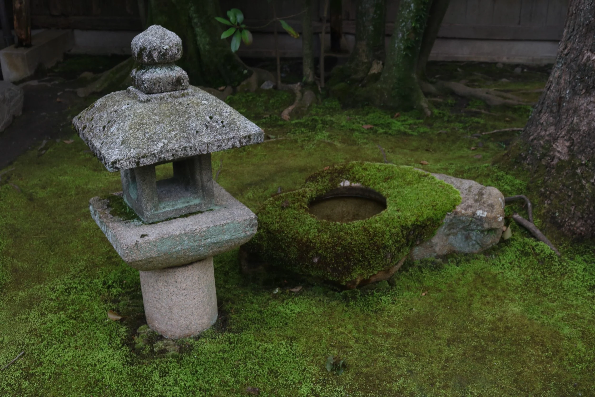 japanese-gardens-private-tour-moss.JPG