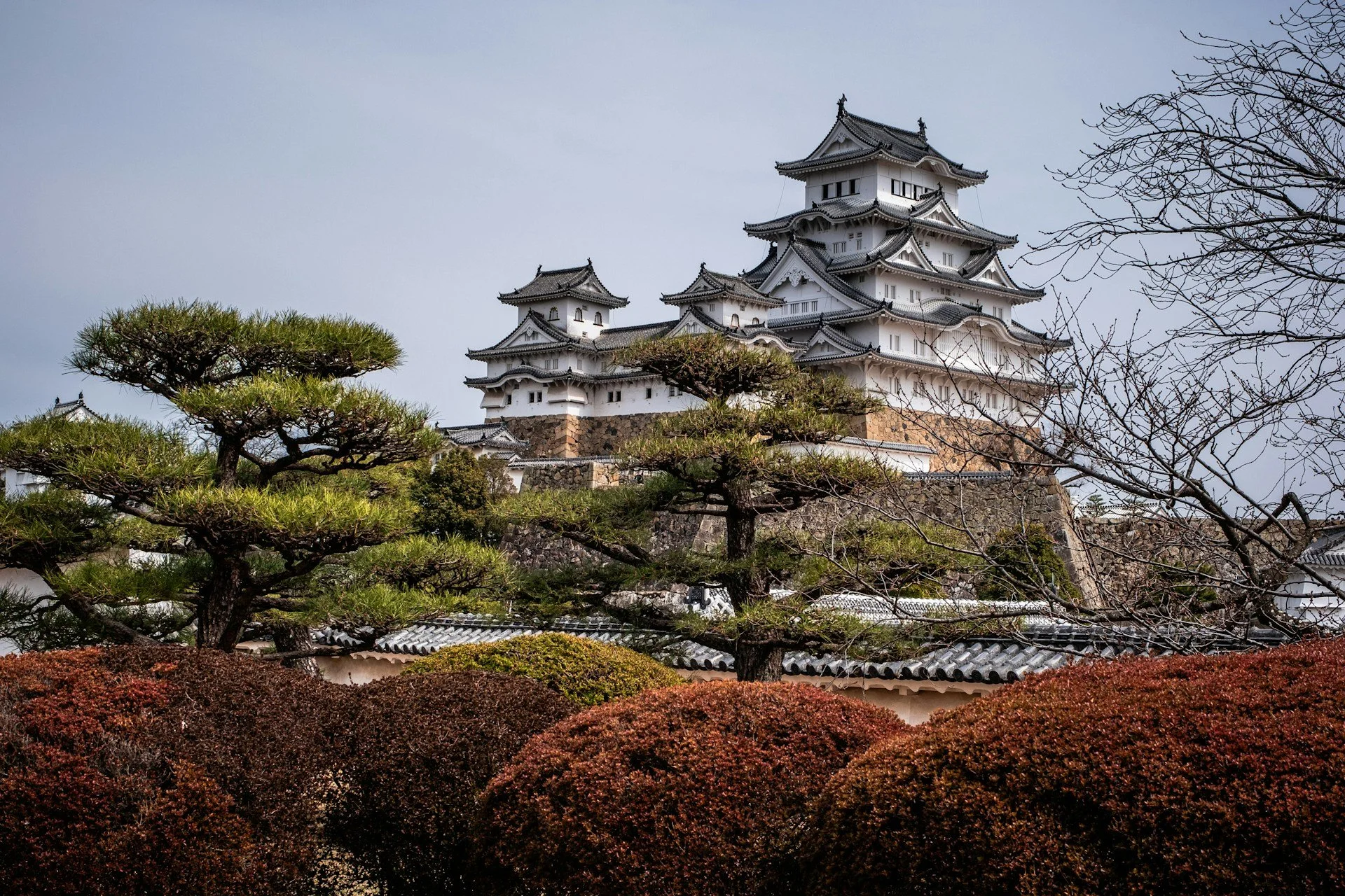 private-himeji-tour-authority-in-architecture-himeji-castle-side.jpg