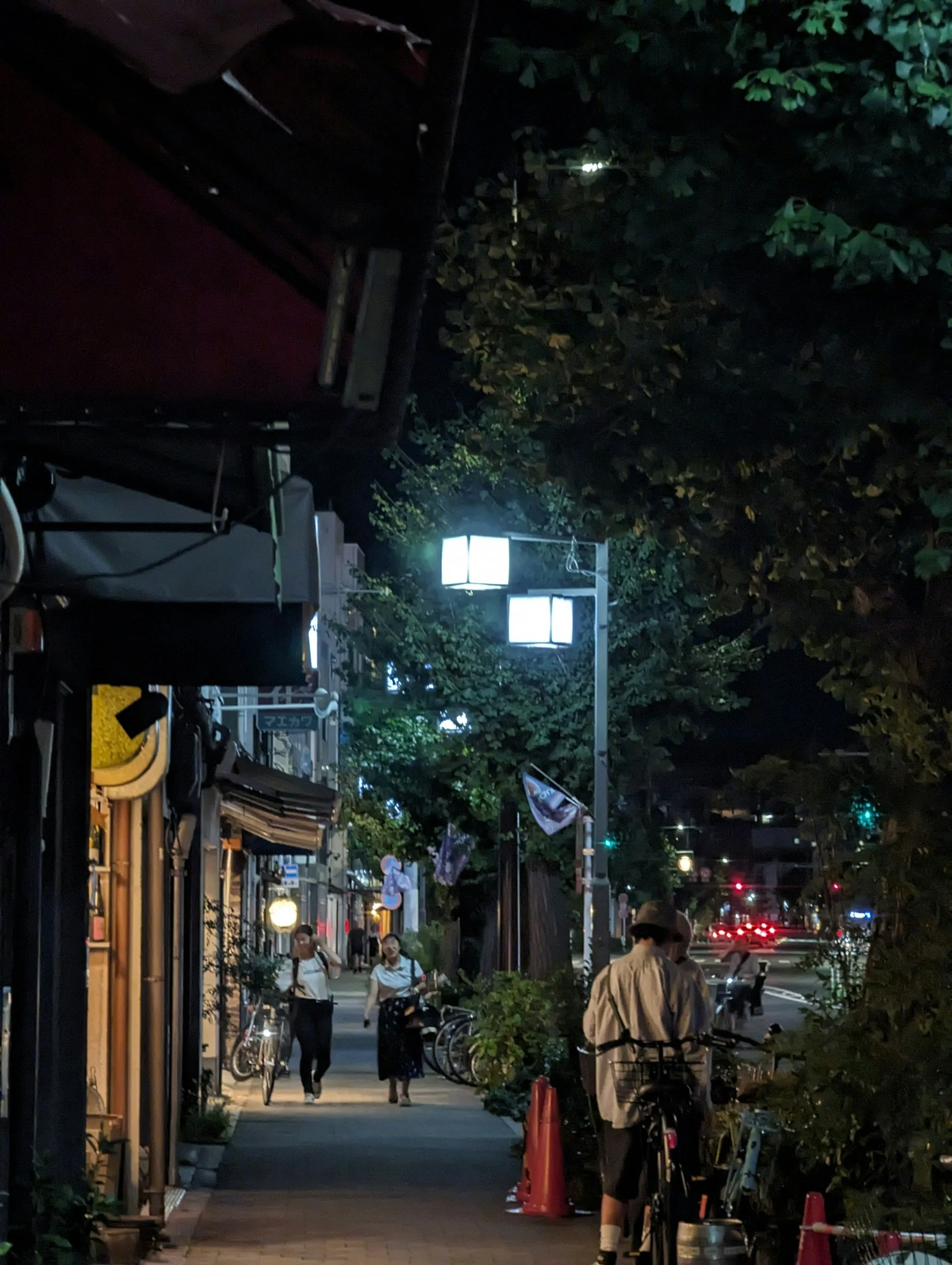 japan-forbidden-nights-secrets-and-shadows-private-tour-kiyamachi-street-2.jpg