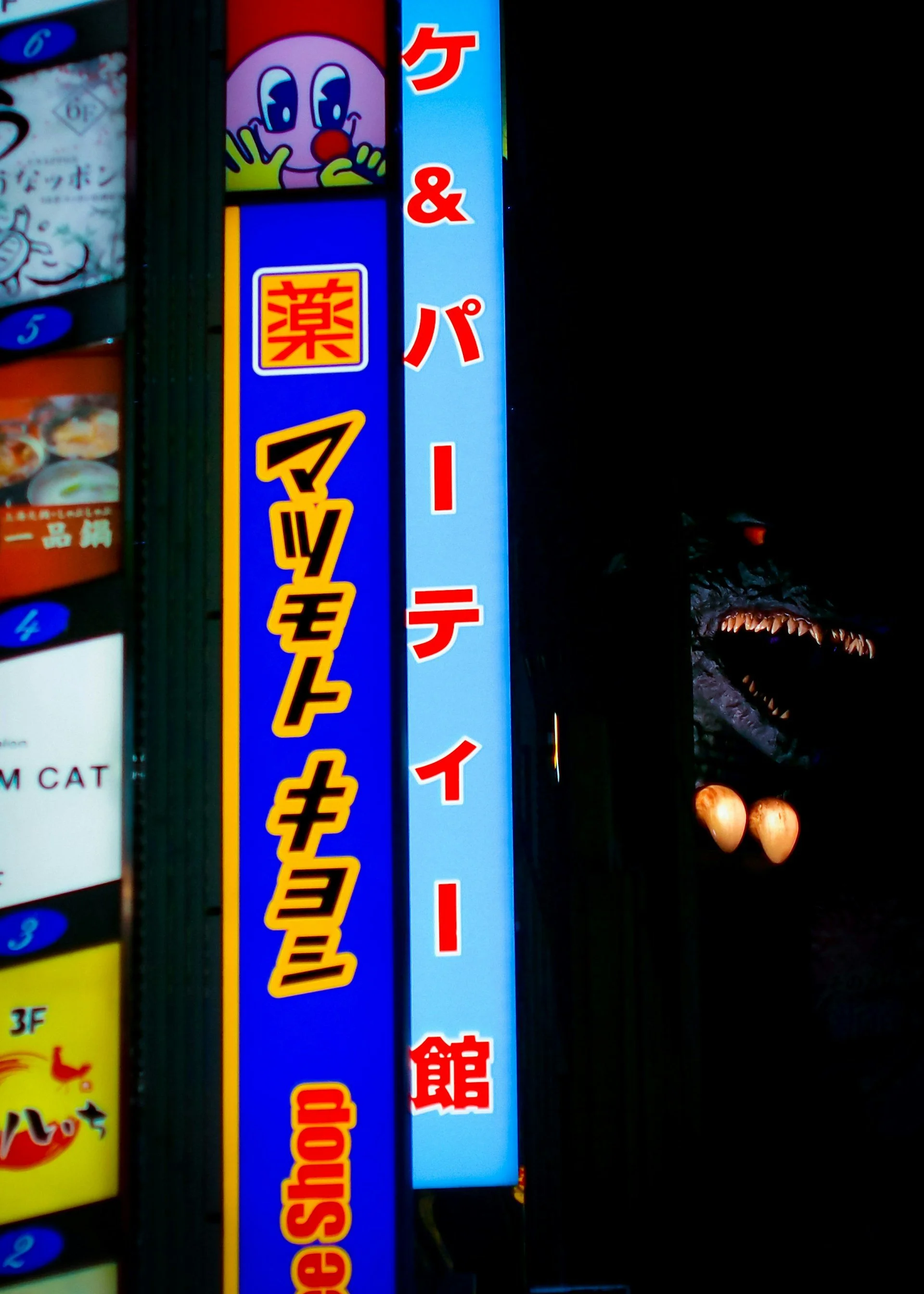 Kyoto-weird-and-unusual-oddities-and-curiosities-private-tour-neon-signs.jpg