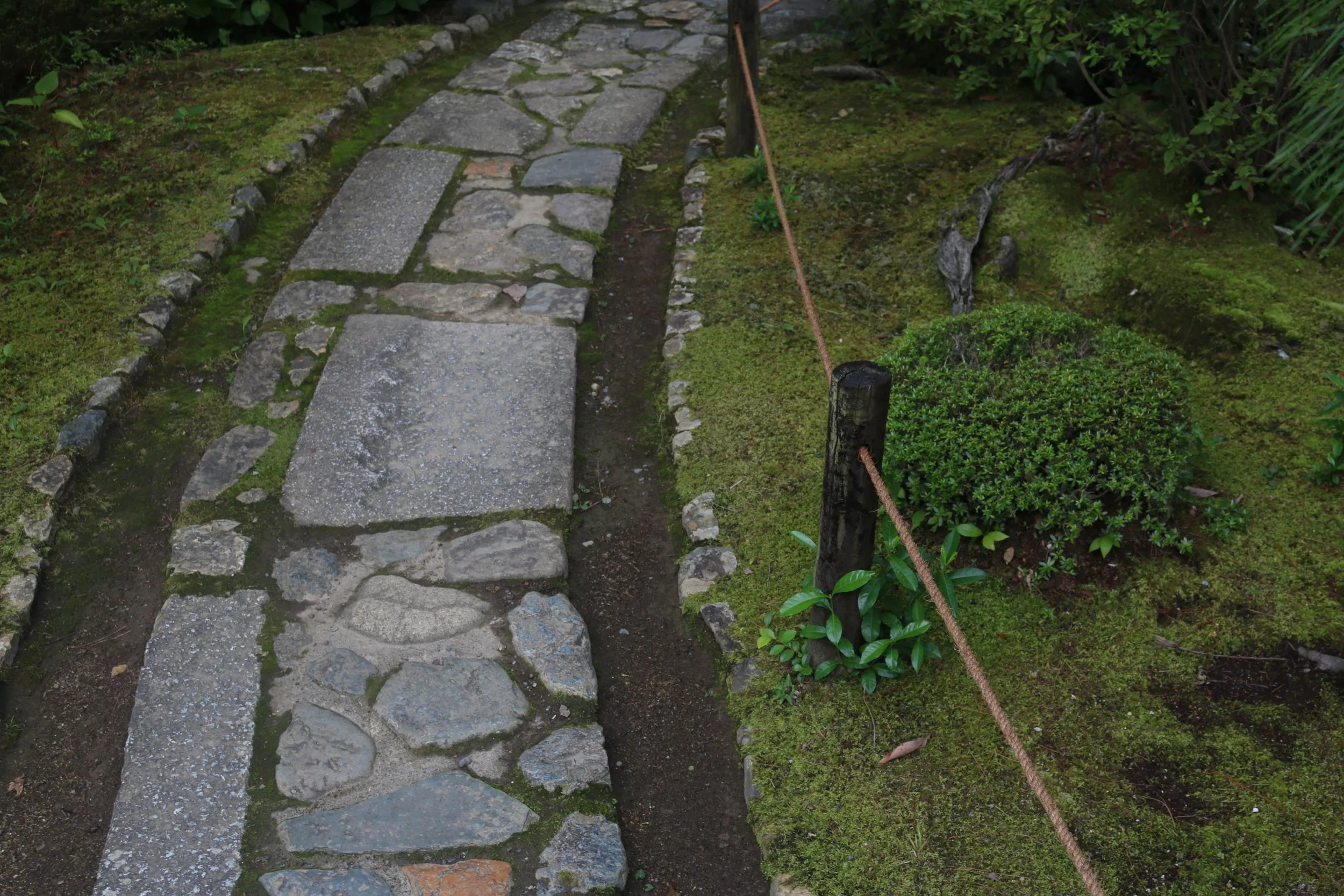 japanese-gardens-private-tour-path.JPG