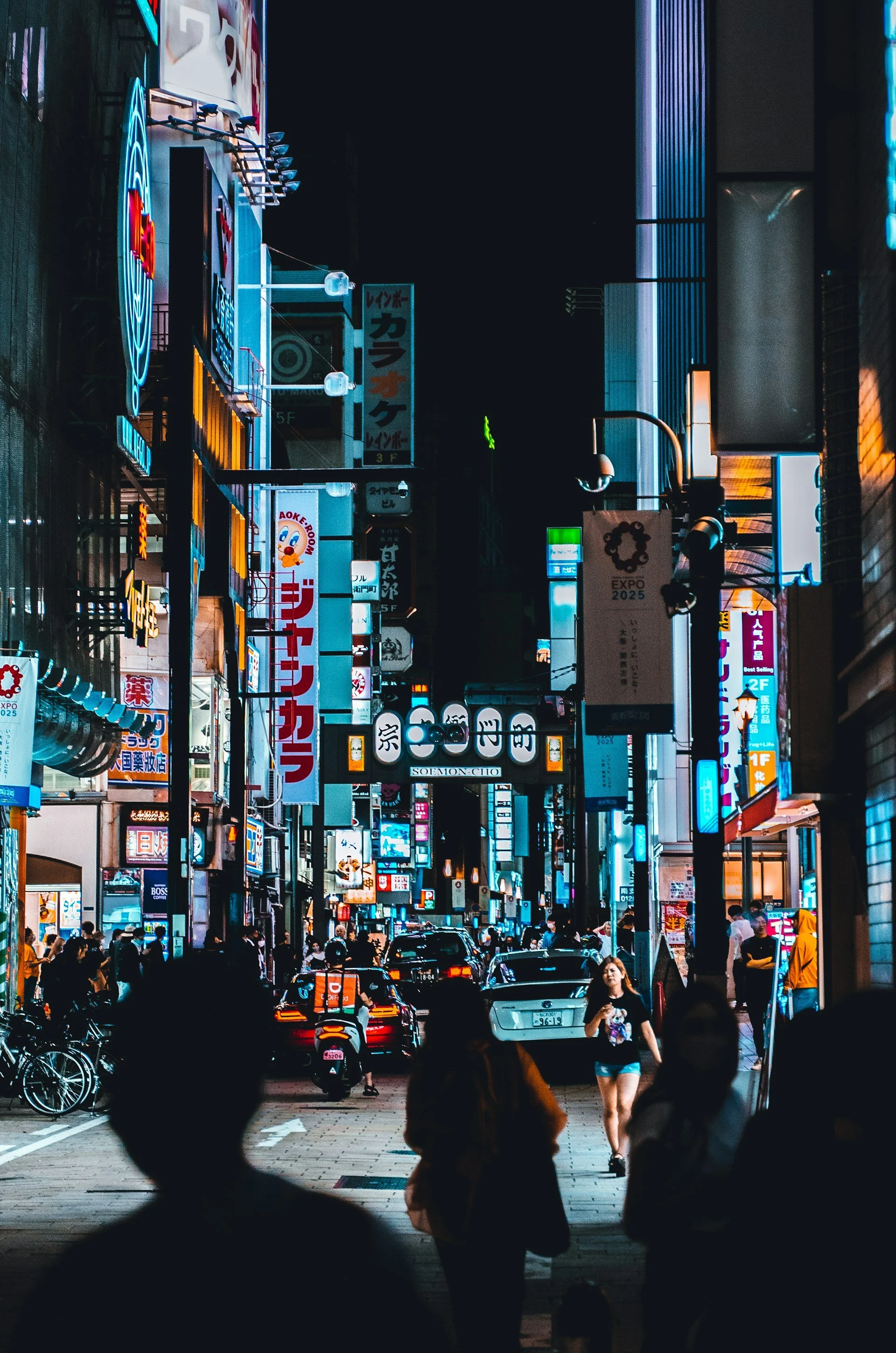 private-osaka-evening-tour-neon.jpg