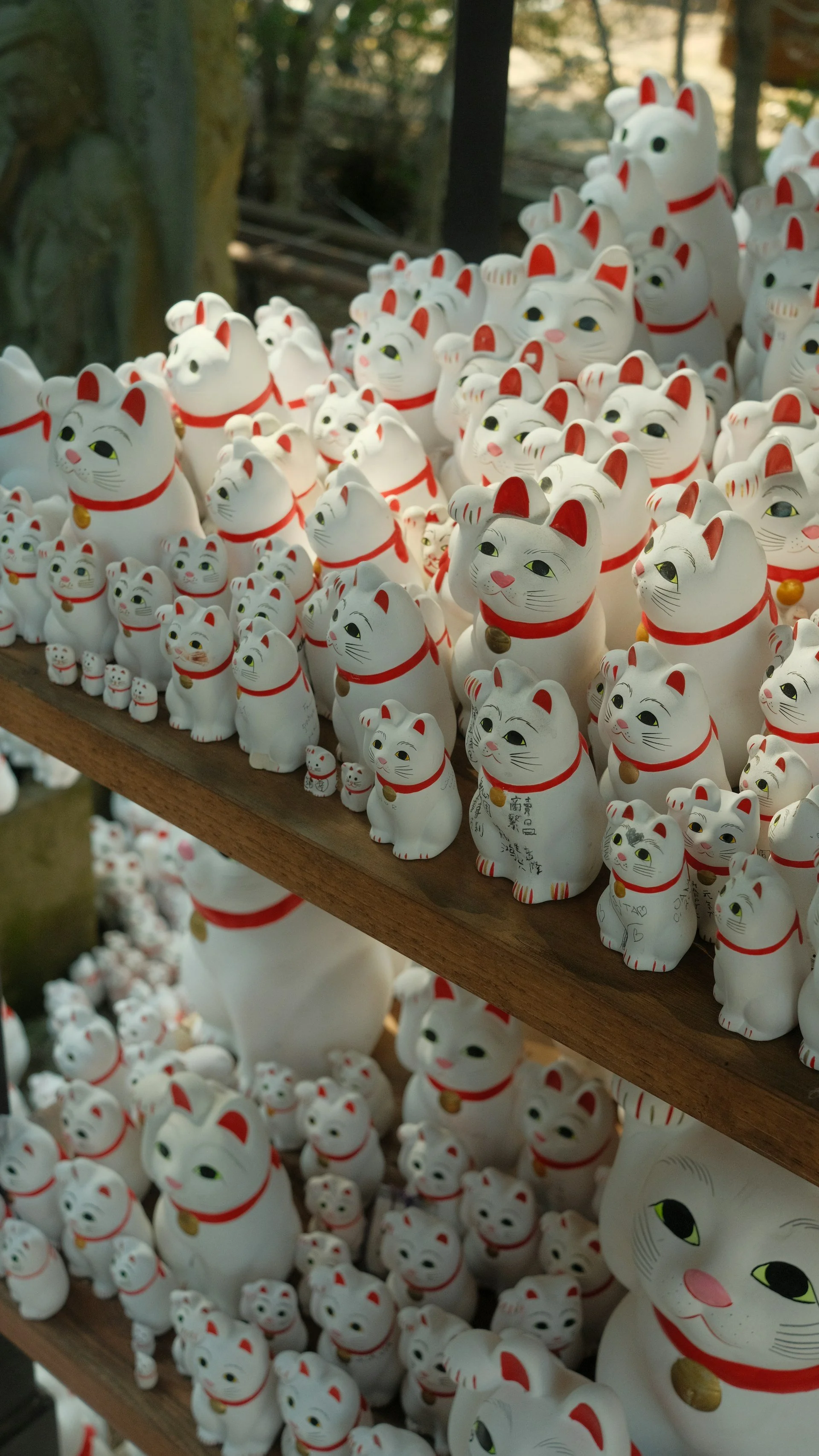 Kyoto-weird-and-unusual-oddities-and-curiosities-private-tour-red-light-maneko.jpg