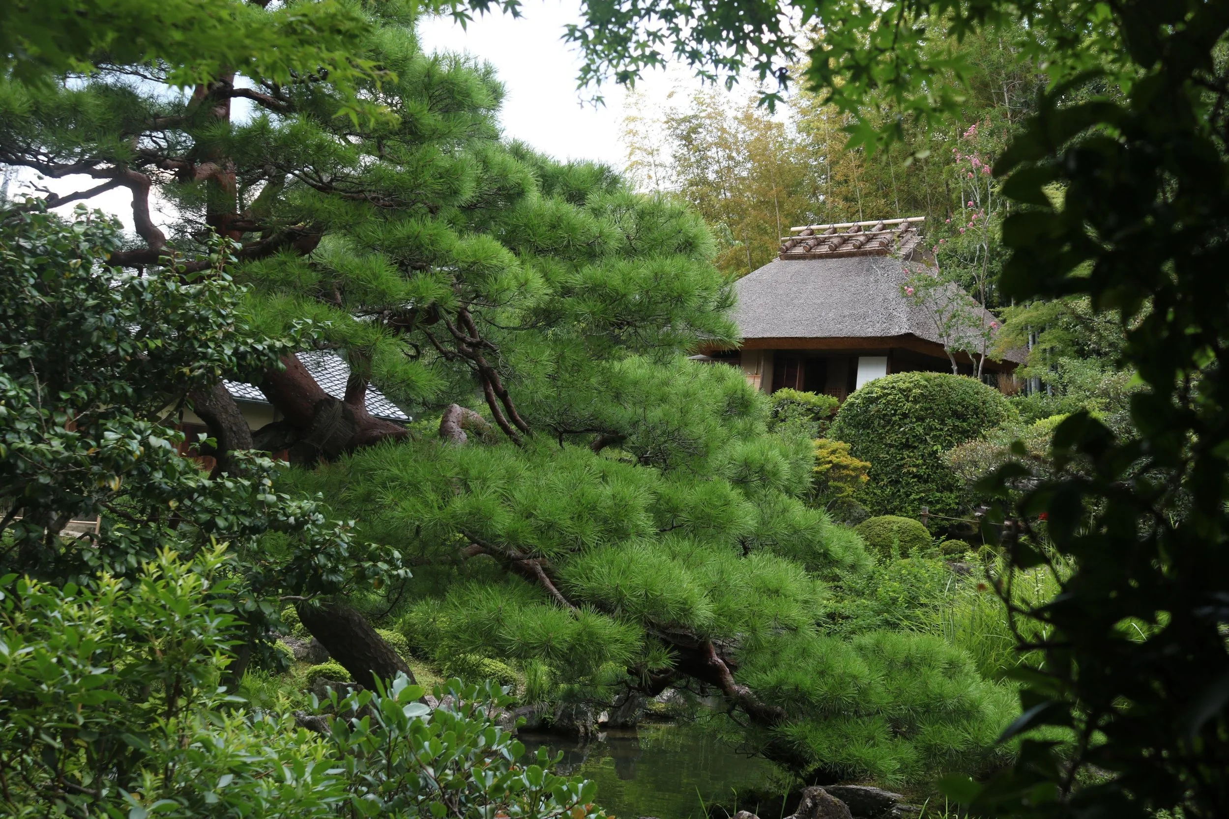 japanese-gardens-private-tour-tea-house.JPG