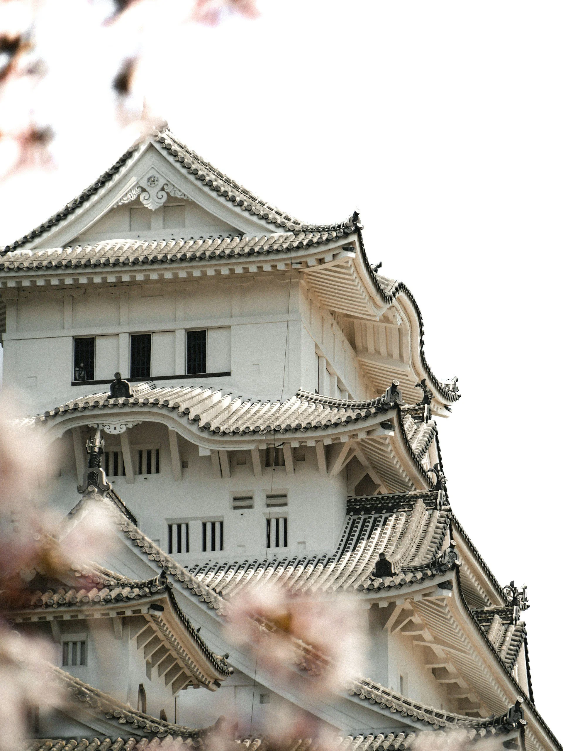 private-himeji-tour-authority-in-architecture-castle-closeup.jpg