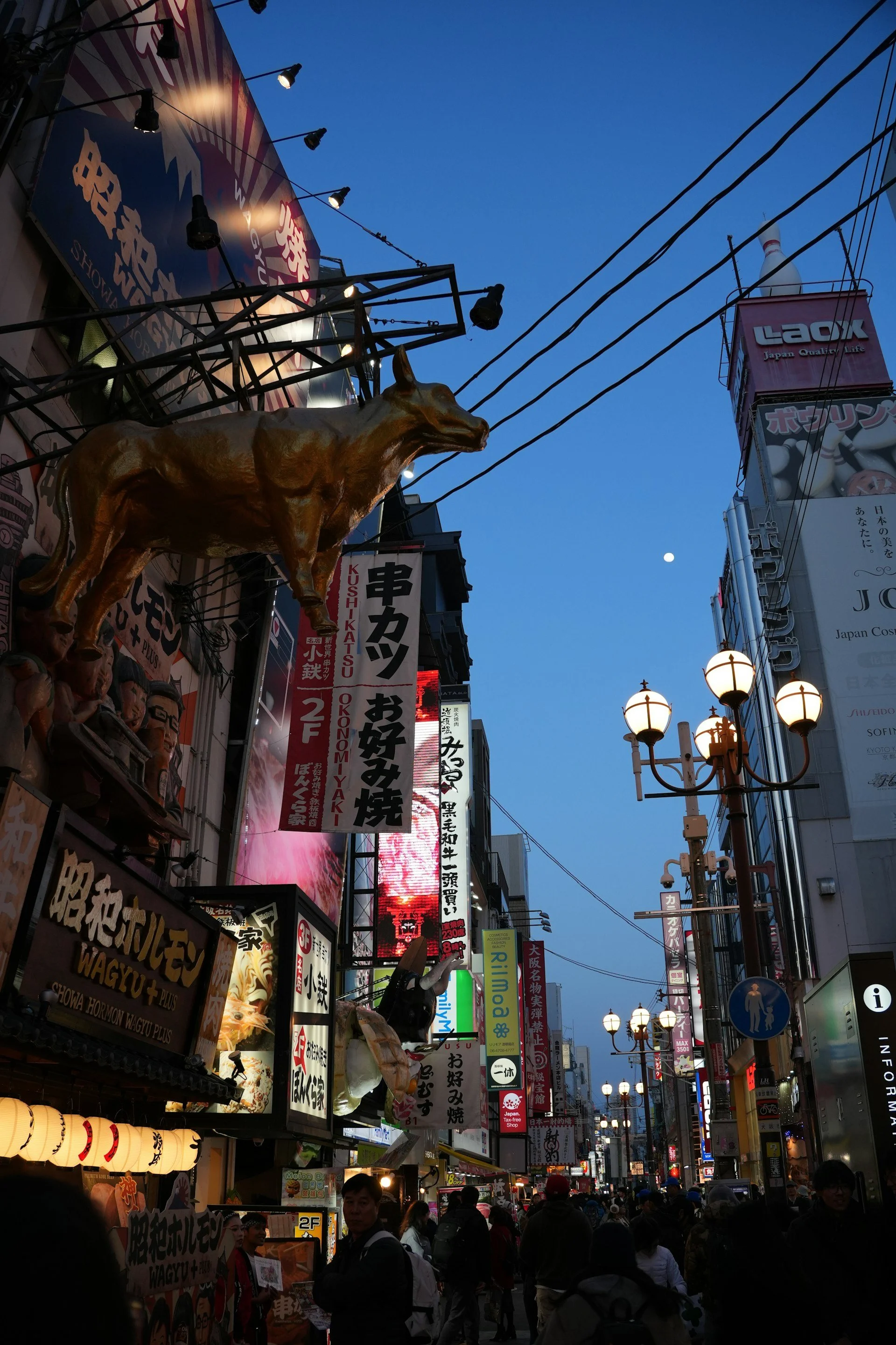 private-osaka-evening-tour-shinsekai.jpg