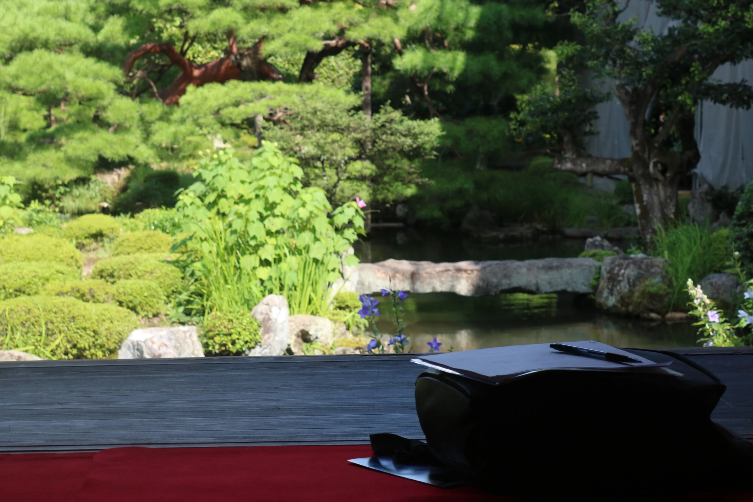 japanese-gardens-private-tour-sketching-at-garden.JPG