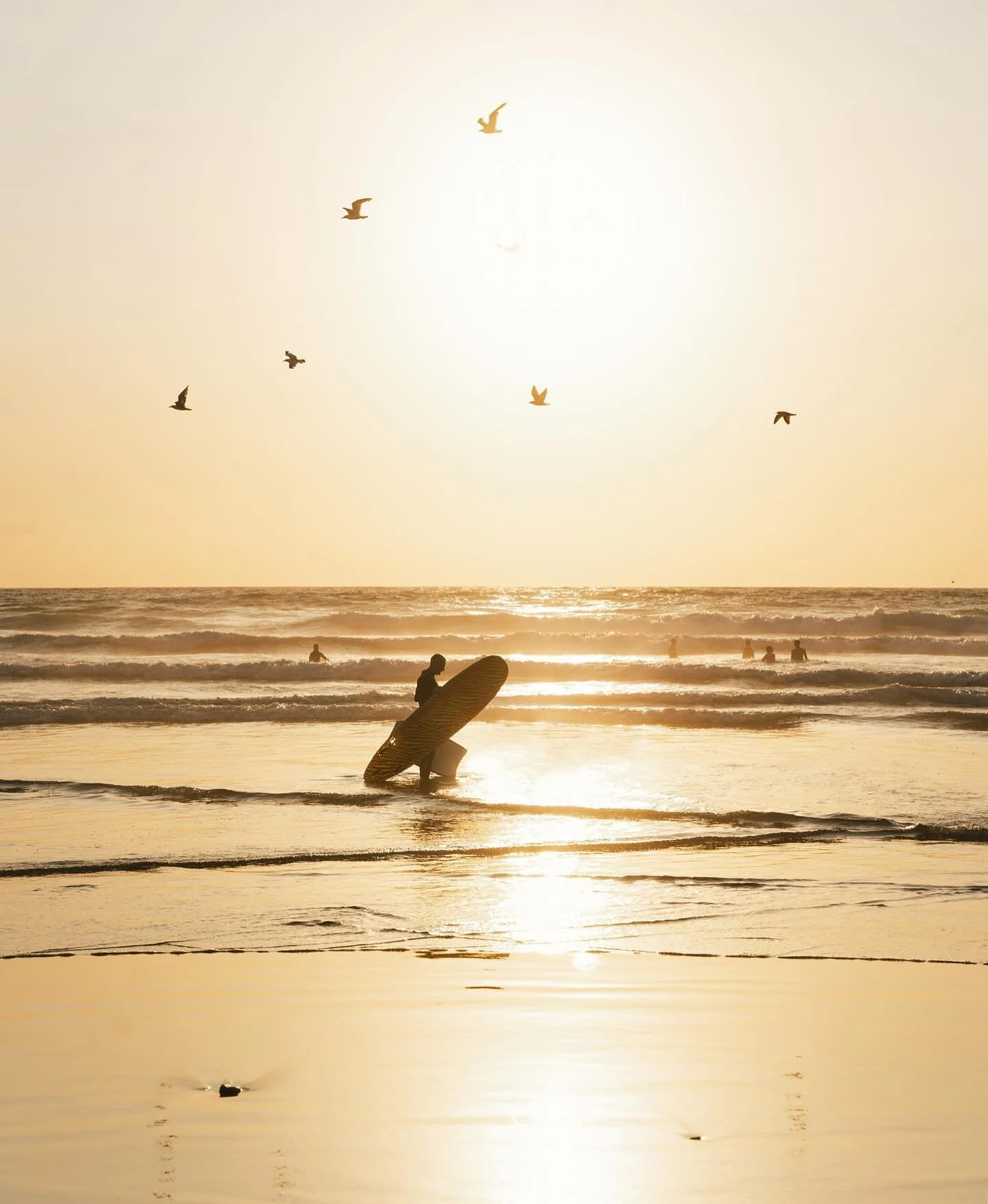 sunset snaps from Cornwall this summer ☀️