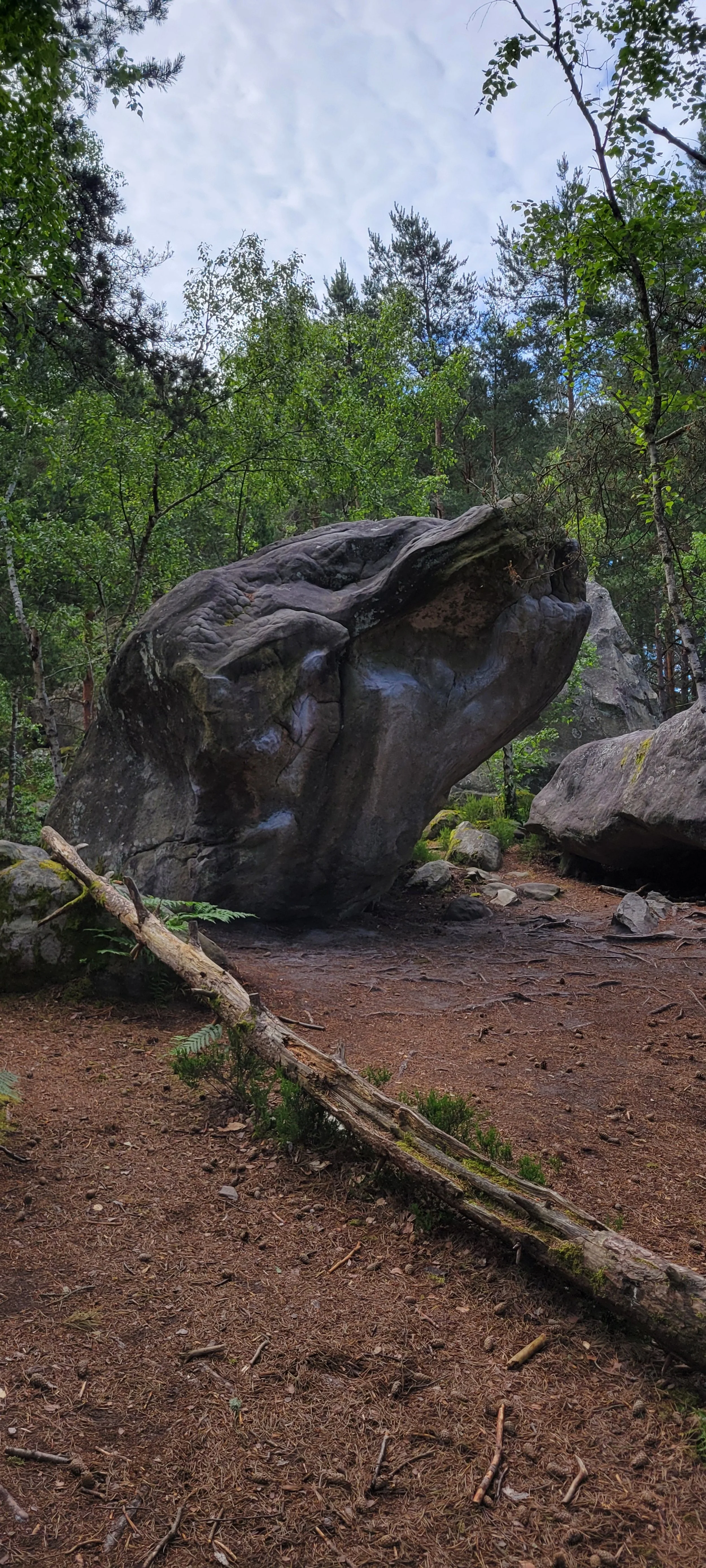 A large, uniquely shaped boulder in a forest, surrounded by trees and greenery, under a partly cloudy sky.