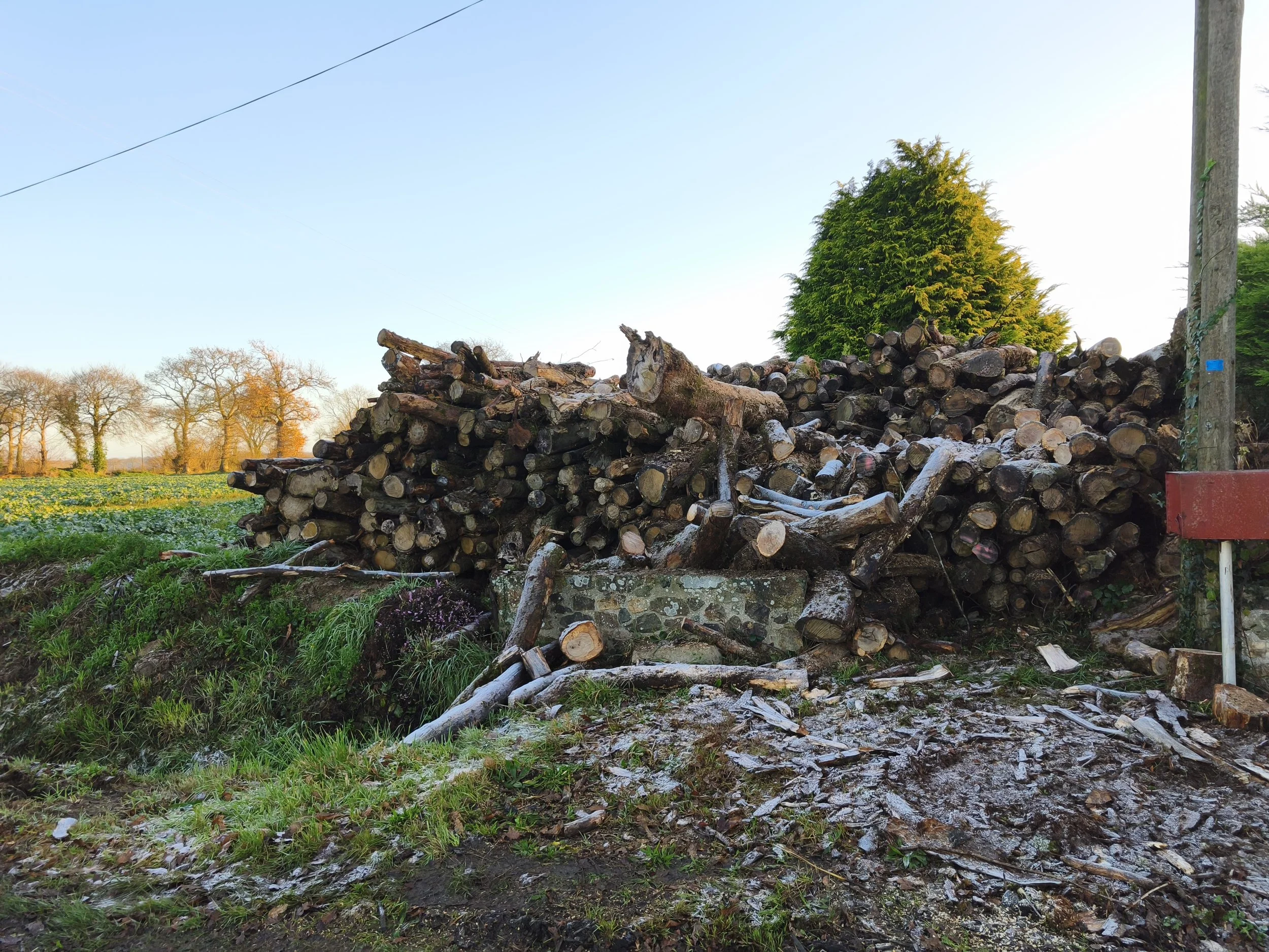 Vend bois de chauffage