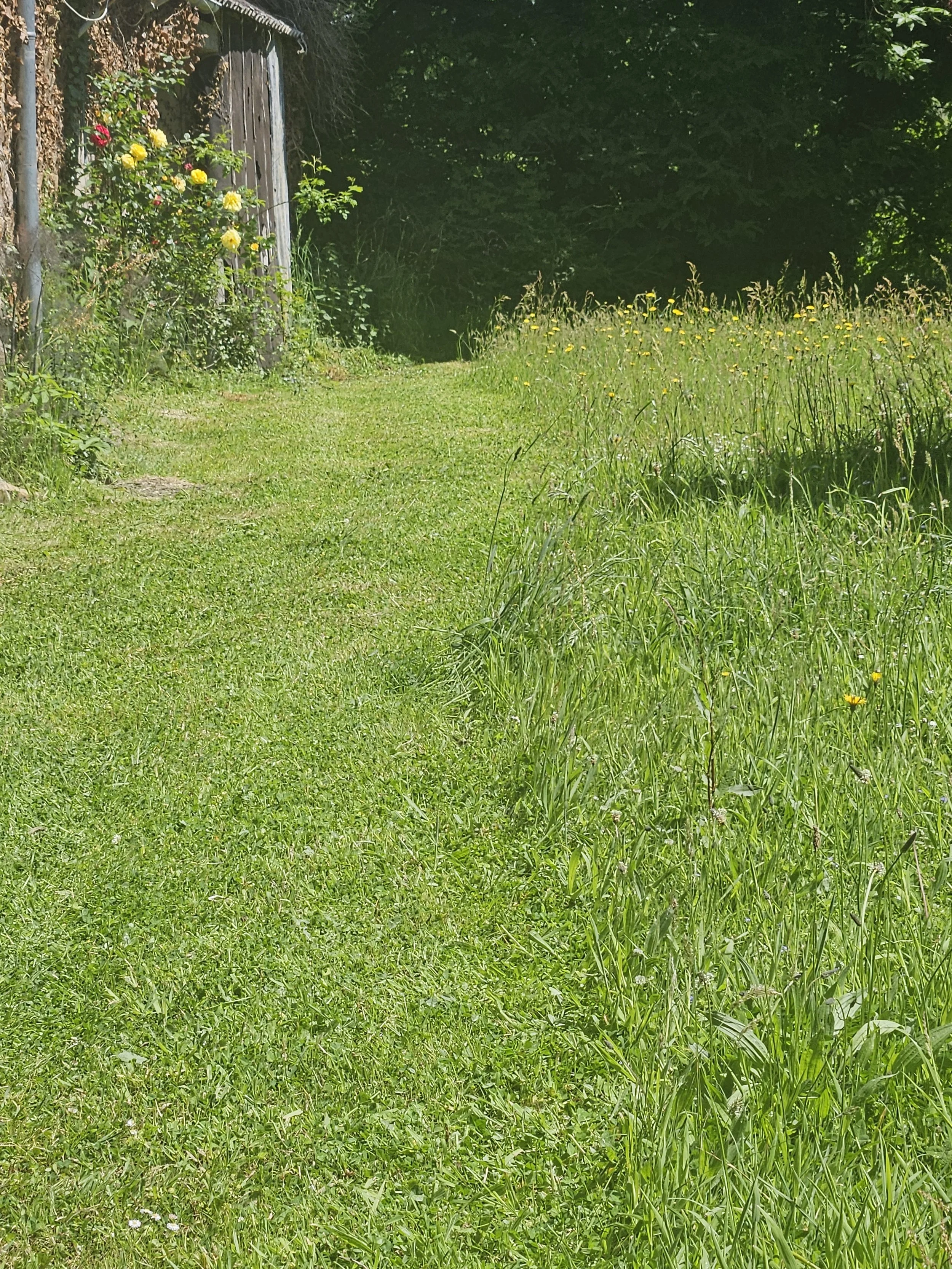 20250515_134512.jpg