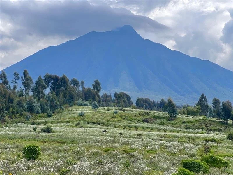 A large mountain in the background with a dark summit, surrounded by cloudy skies. In the foreground, green fields with trees and shrubs.