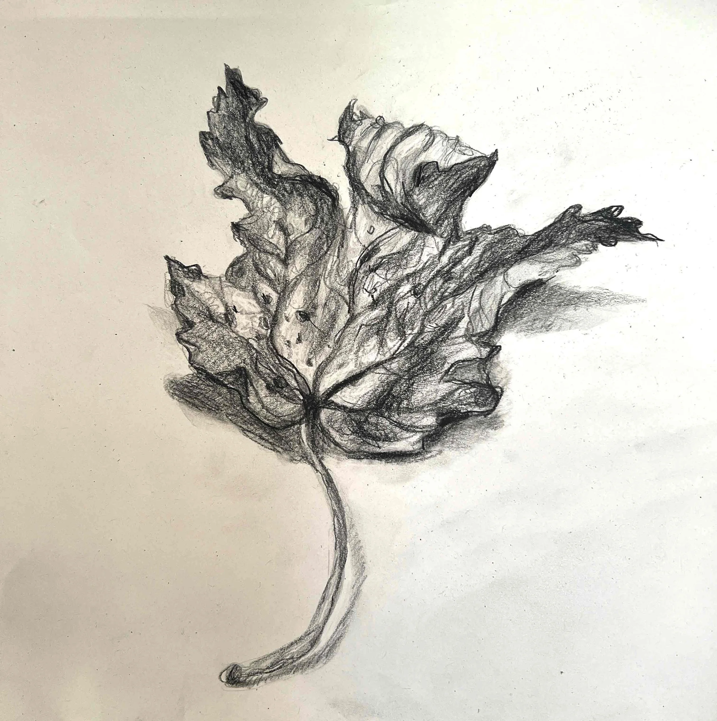 smaller-brown-leaf-pencil.jpg