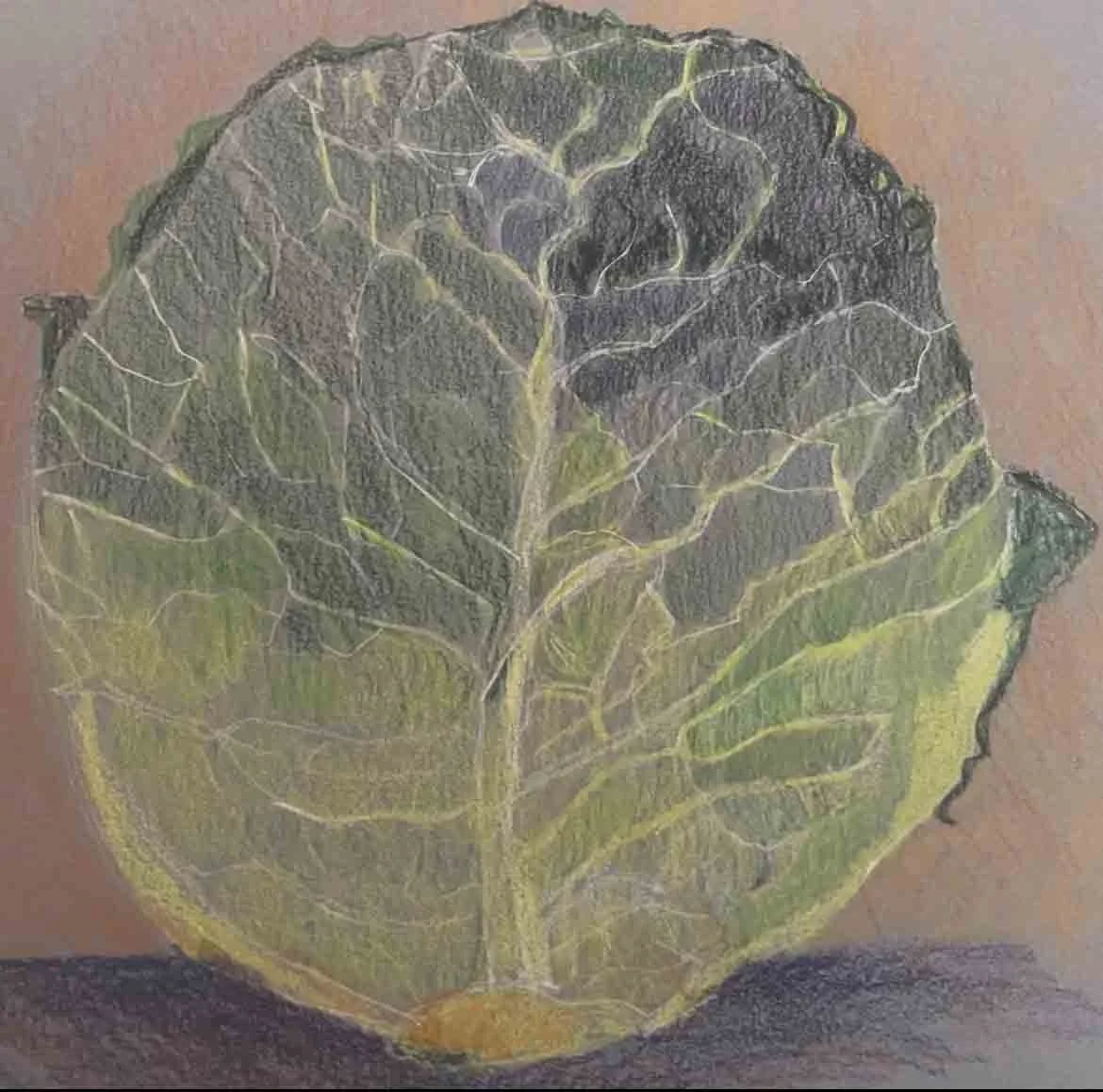 Anne @Annedrawn24 Playful Portraits.