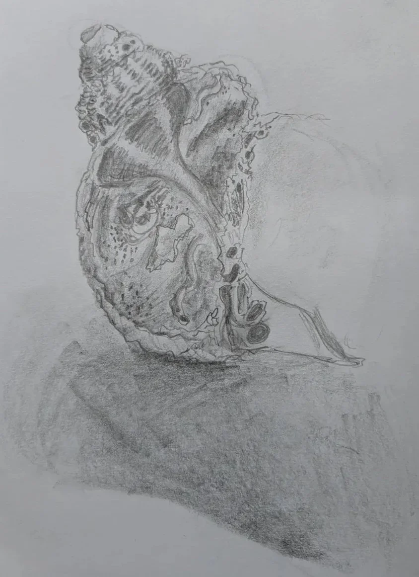 Sylvia @sylv.sylv.sylv Mindful Still Life