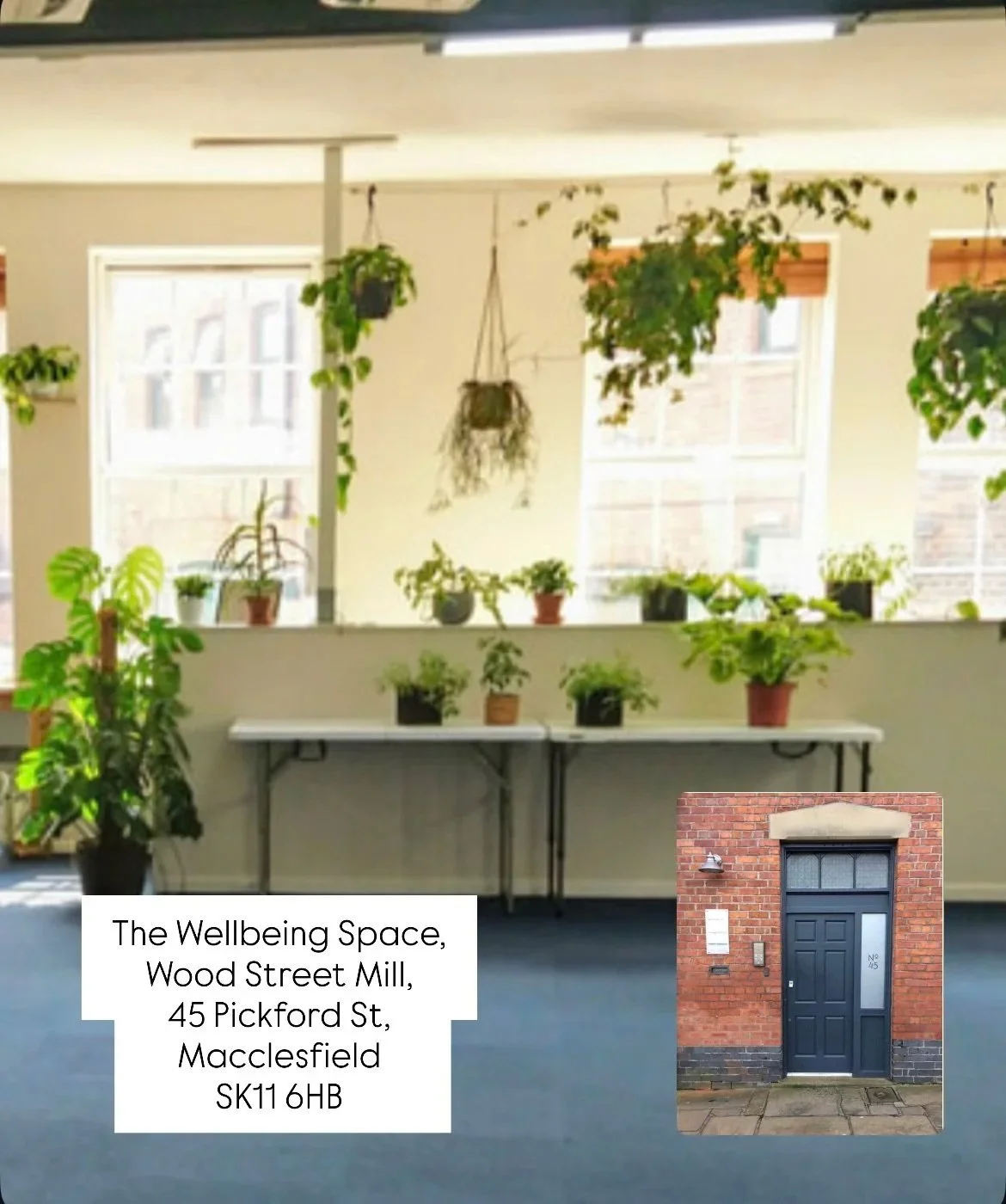 B8183763-A054-473A-A81D-9616C4F4C7EE_1_201_a.jpg (Copy)