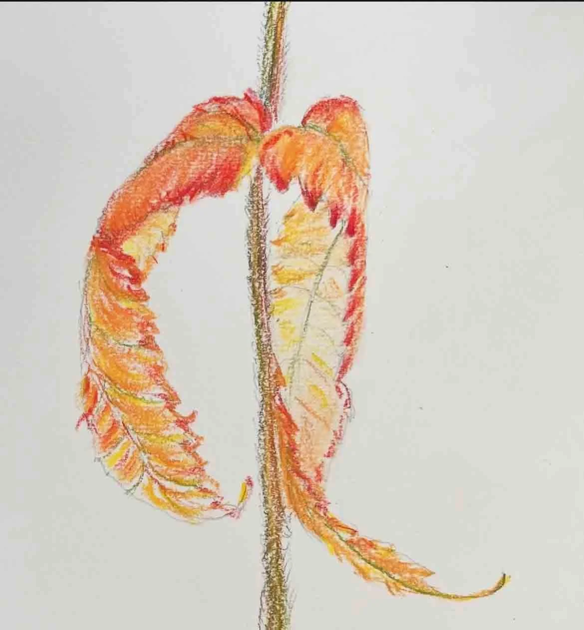 Emma @emmanicholson2 Mindful Still Life