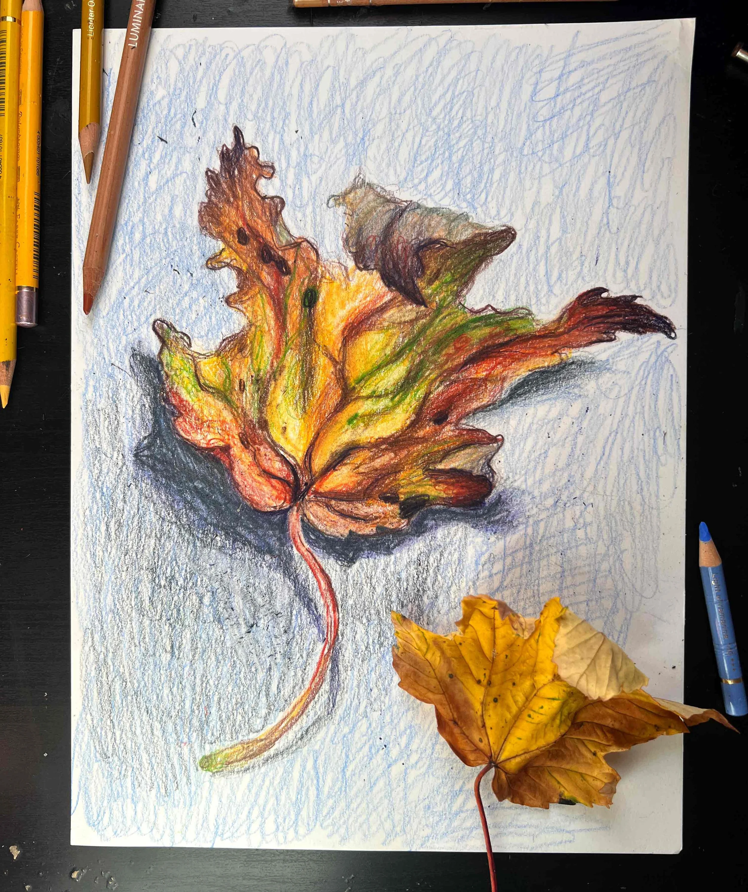 smaller-leaf-brown-autumn.jpg